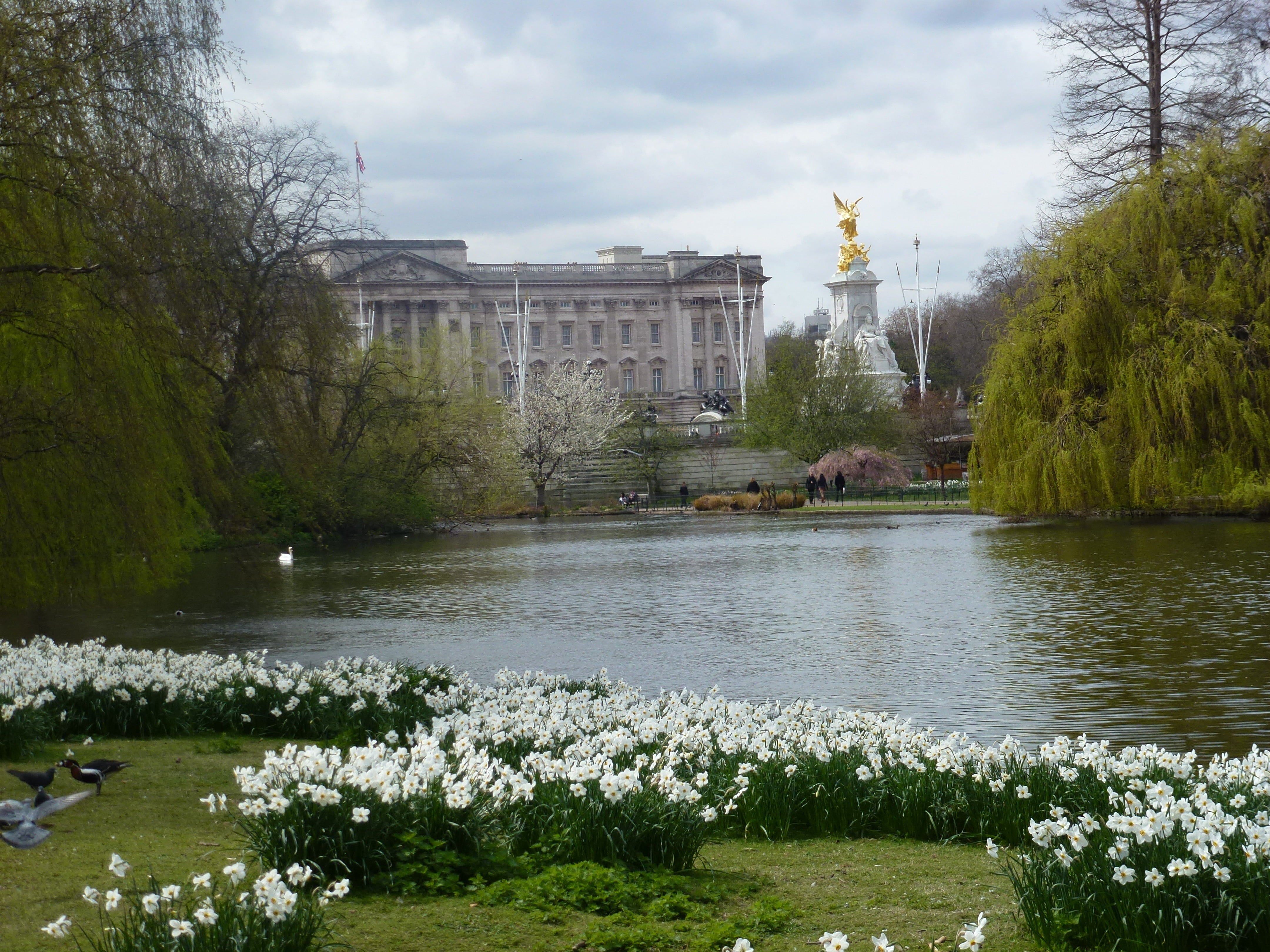 building exterior, flower, tree, flowers, cloud - sky, day, london, built structure, travel destinations, sky, nature, outdoors, water, city, plant, travel, HD Wallpaper