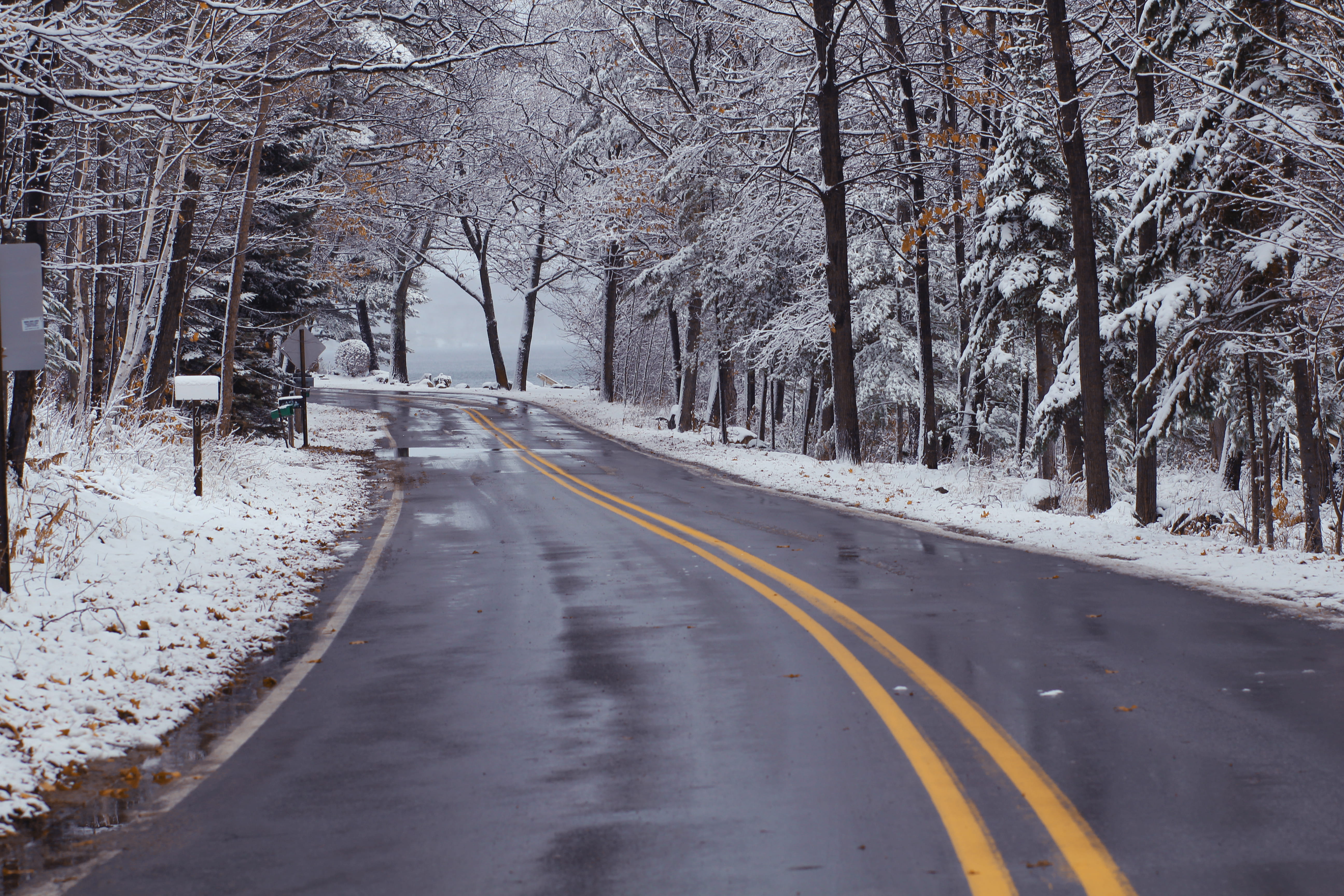 bare tree, diminishing perspective, united states, tranquil scene, cold temperature, winter, traveling, no people, land, white, wet, outdoors, forest, michigan, HD Wallpaper
