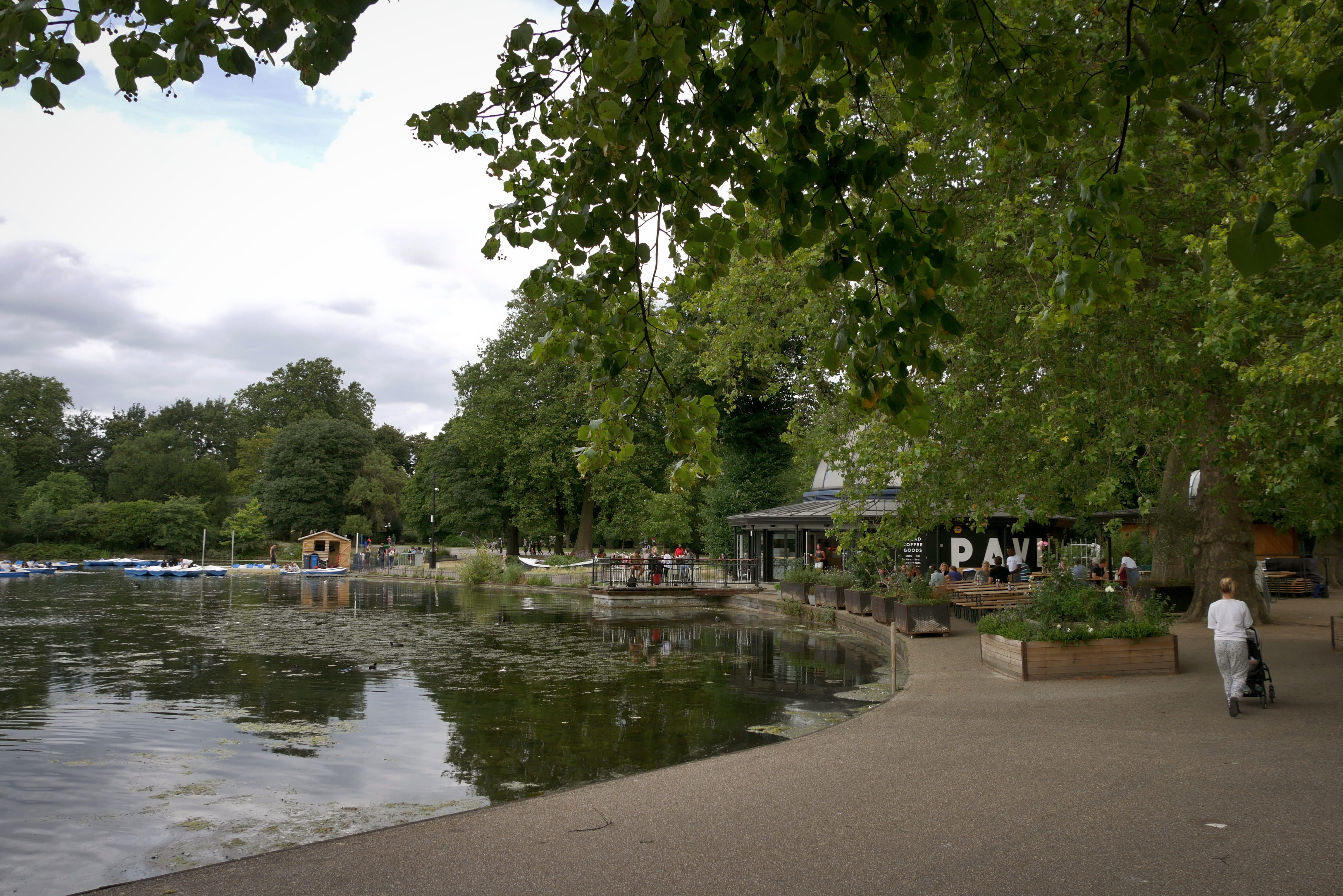 nature, chill, outdoors, sky, trees, men, crowd, london, growth, relax, walking, incidental people, day, tree, cloud - sky, leisure activity, group of people, HD Wallpaper