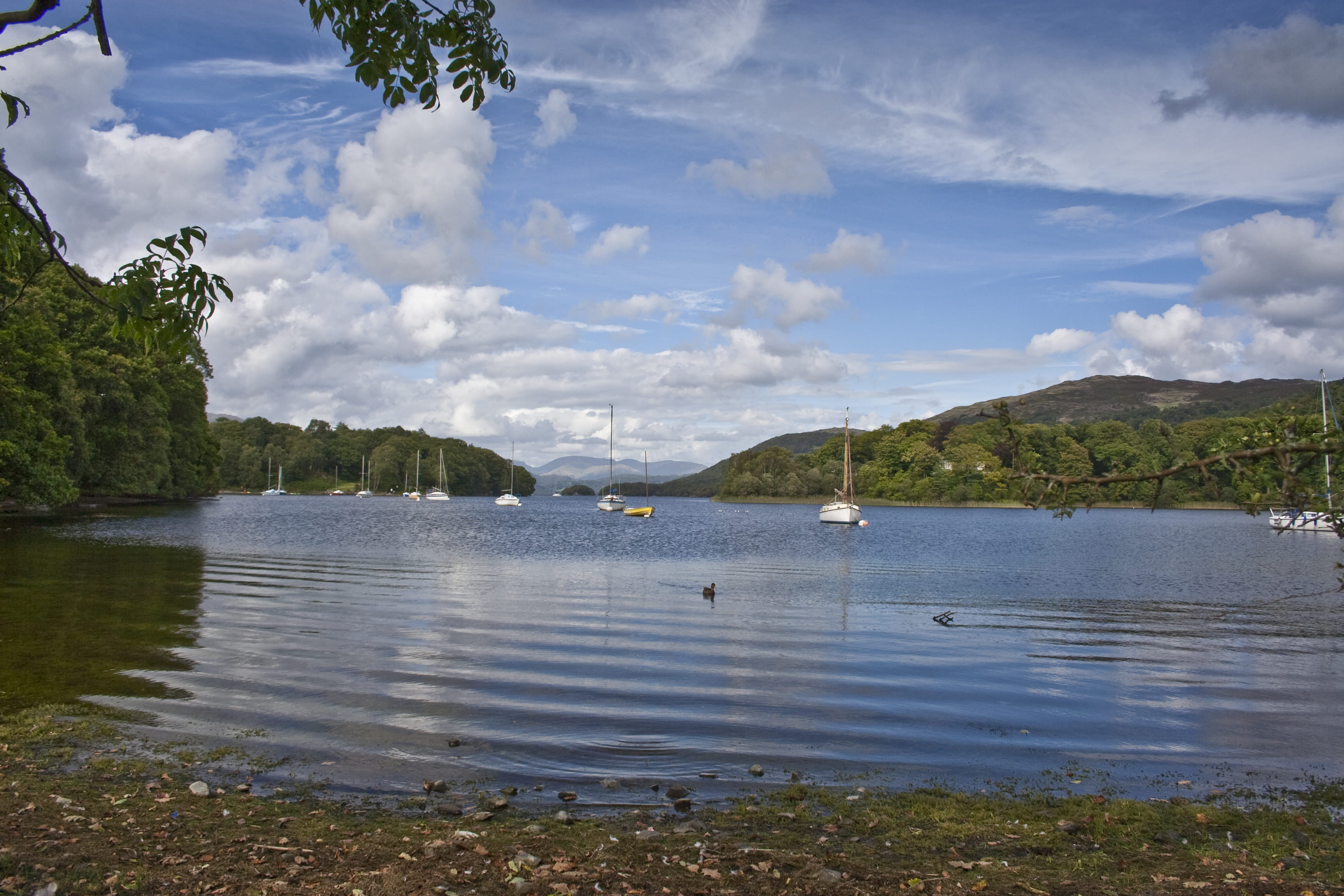 water, sky, land, lake district national park, beauty in nature, nautical vessel, tree, cloud - sky, lake, boats, plant, non-urban scene, no people, tranquility, HD Wallpaper