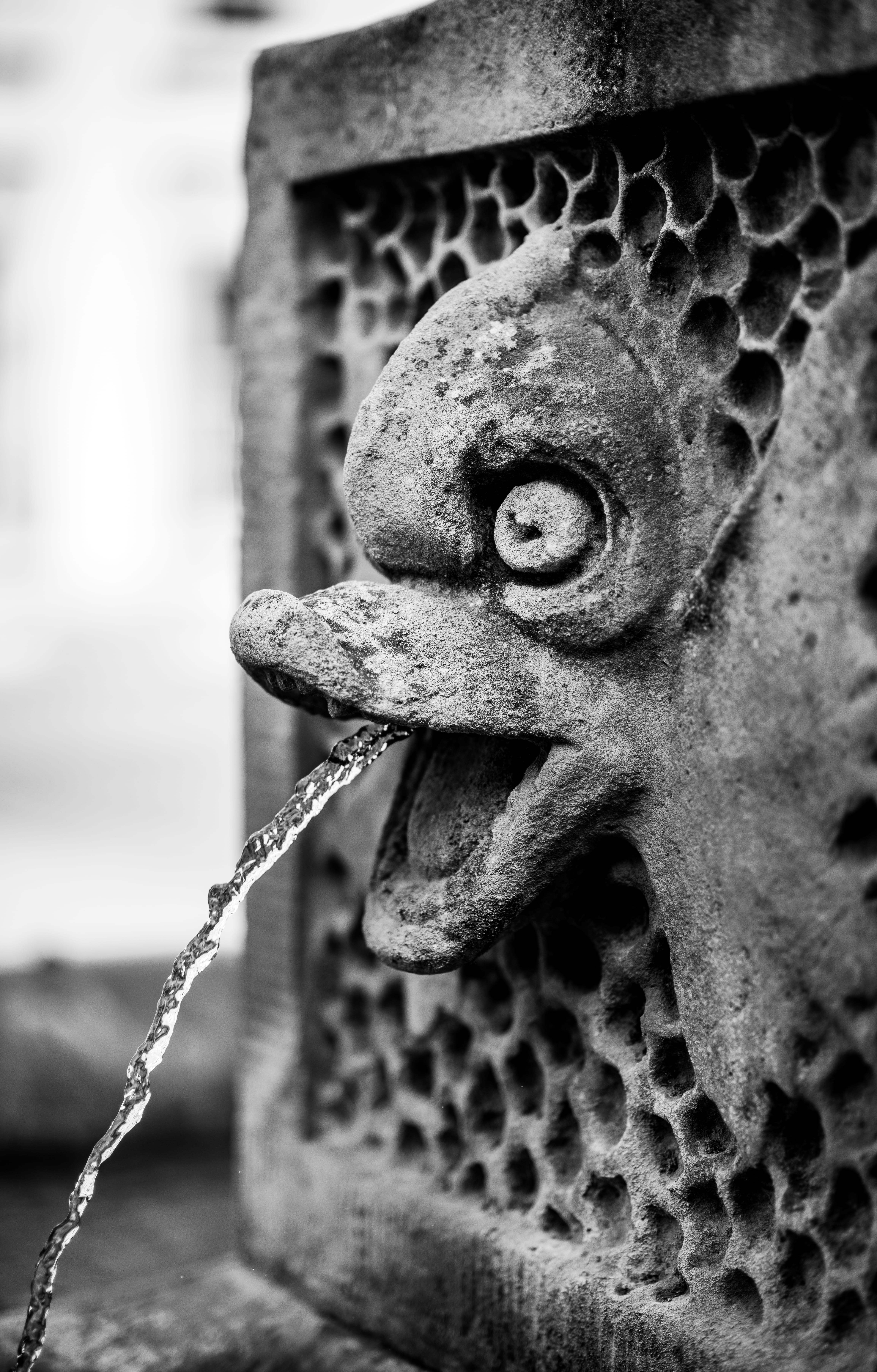 architecture, textured, 5K, nature, old, art and craft, greenwich, weathered, built structure, animal themes, pattern, rope, day, detail, selective focus, Phone HD Wallpaper