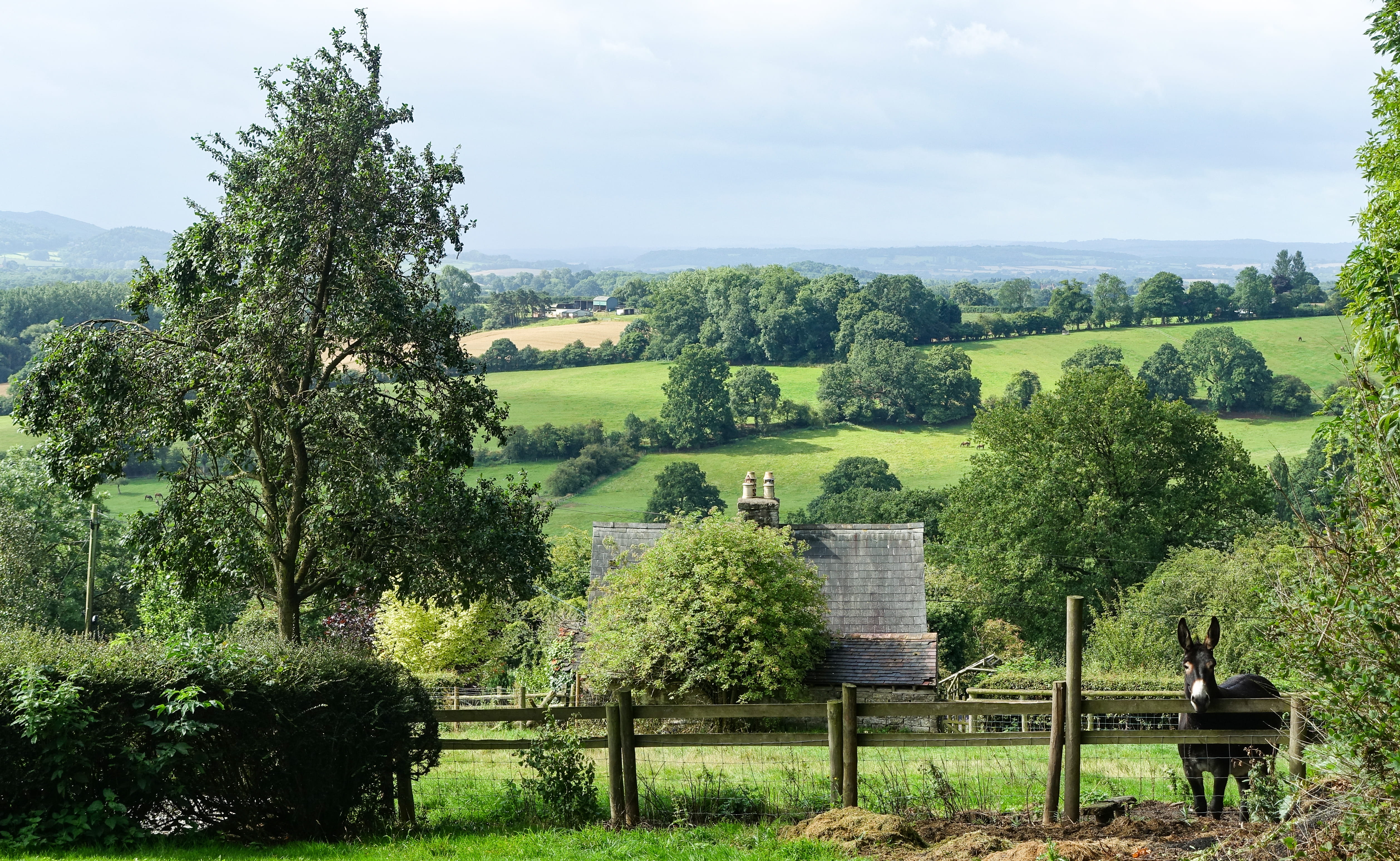 rural scene, great malvern, day, scenics - nature, environment, green, land, tree, agriculture, town, nature, sky, beauty in nature, village, no people, HD Wallpaper