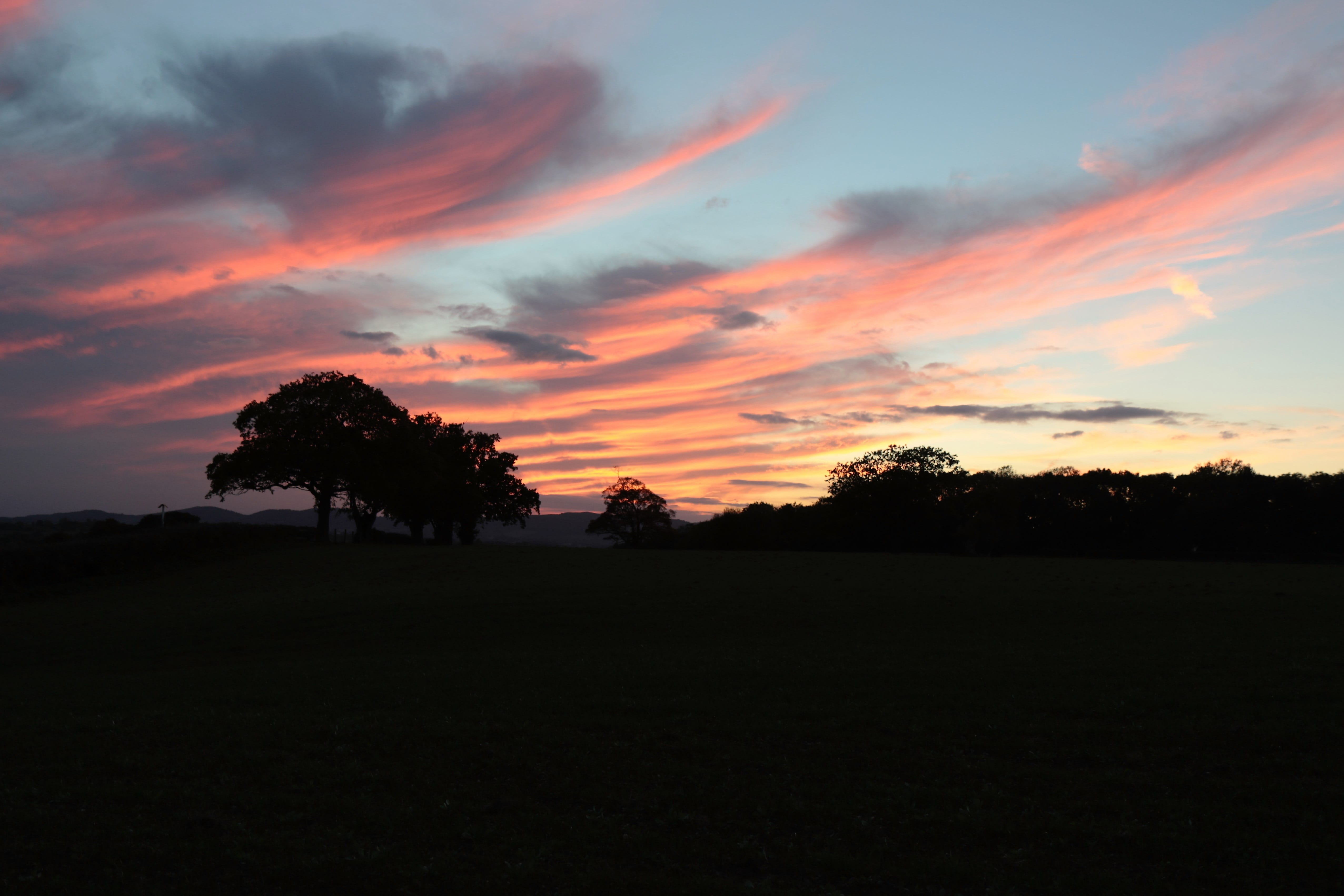 countryside, Sunset, sky, tree, environment, farmland, scenery, orange Color, nature, country, no people, outdoors, scenic, clouds, cloud - Sky, beauty In Nature, HD Wallpaper