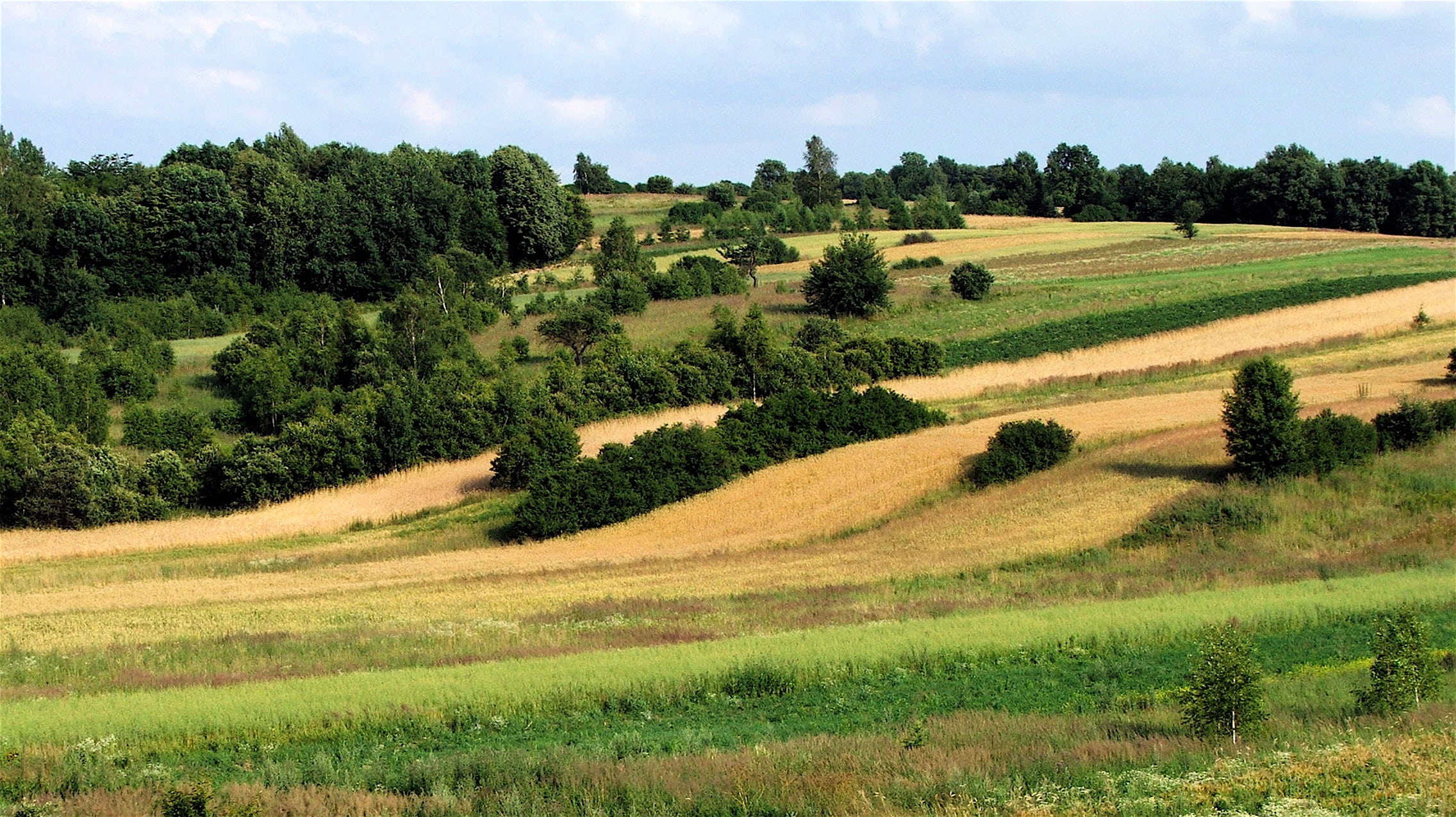 hill, tranquil scene, beauty in nature, upland, non-urban scene, plant, sky, cereals, land, grass, rolling landscape, rural Scene, outdoors, poland, scenics, HD Wallpaper