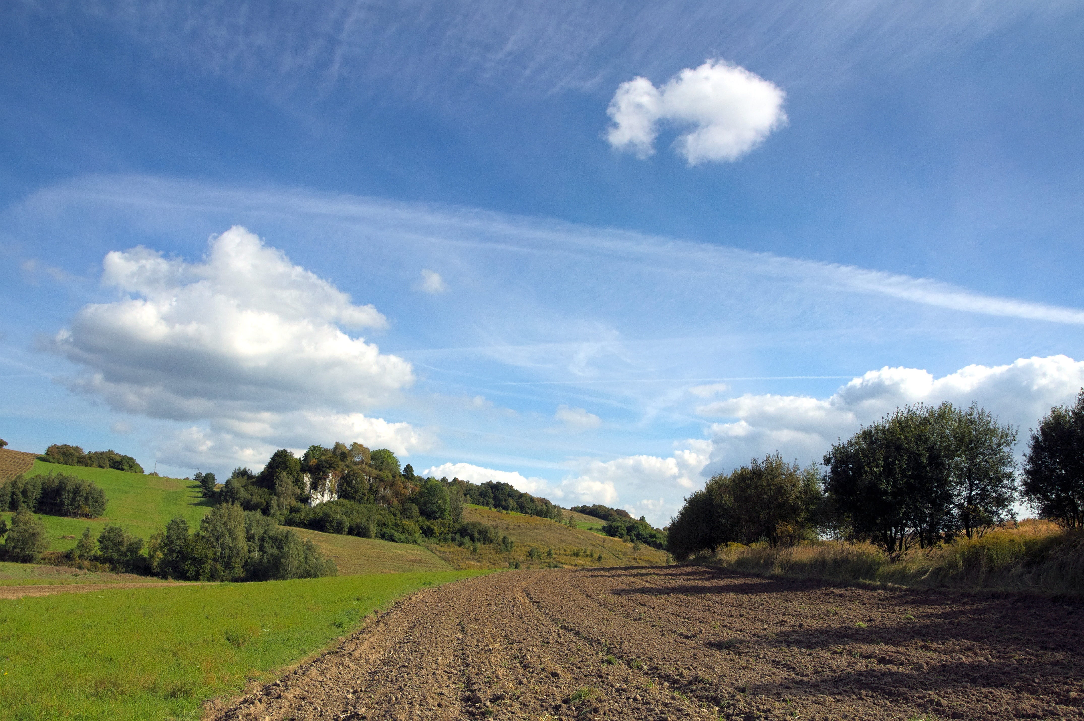 day, growth, non-urban scene, nature, village, krakow-czestochowa upland, agriculture, environment, field, plant, tree, cloud - sky, land, Clouds, rural scene, HD Wallpaper