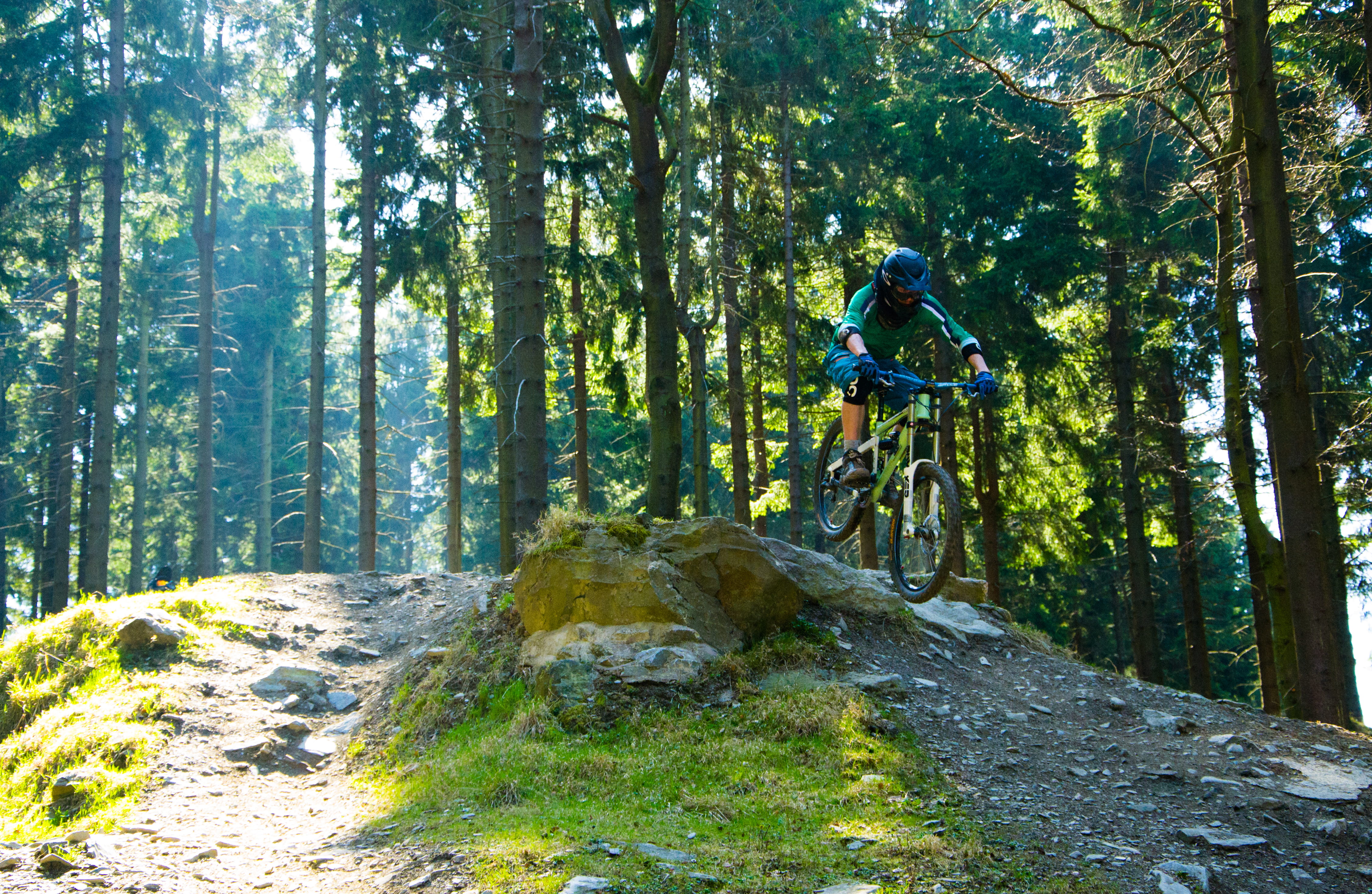 4K, riding, lifestyles, outdoors, bicycle, cycling, land, woodland, transportation, sport, plant, forest, bikepark willingen, activity, helmet, ride, headwear, HD Wallpaper