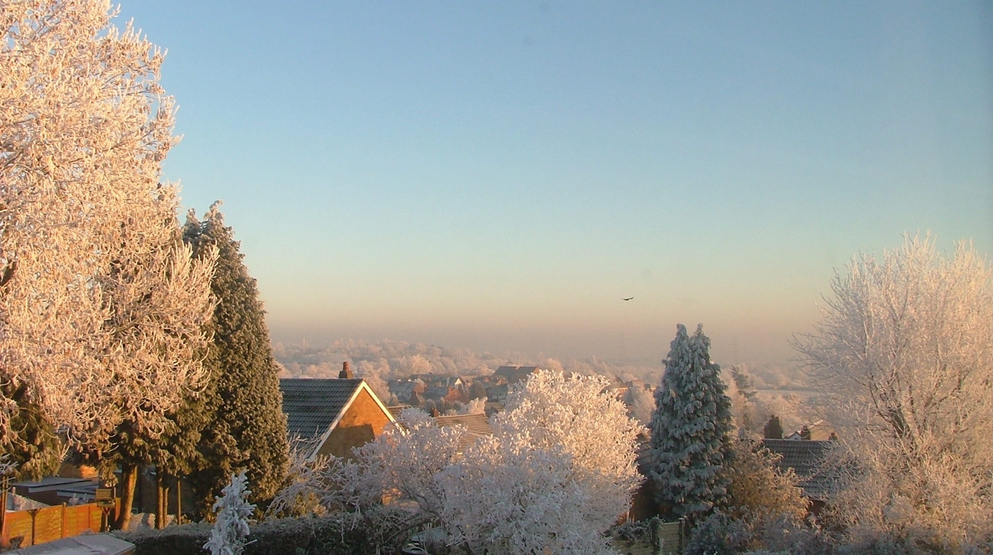 building, Snow, sunrise, zing, tranquil scene, 1080P, Ice, Morning, scenics - nature, Trees, aldridge, cold temperature, sky, coniferous tree, clear sky, HD Wallpaper