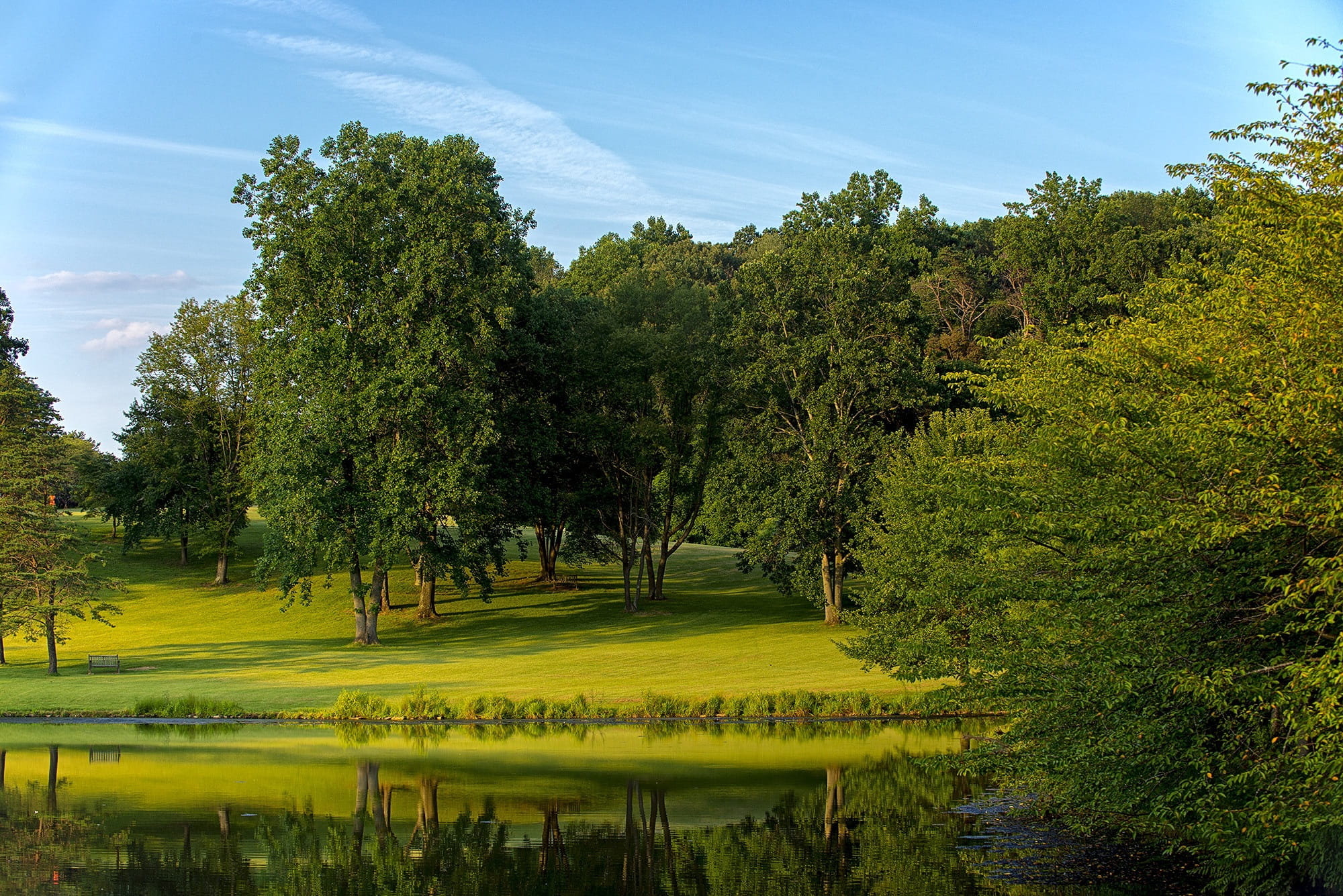 lake, golf, Scenic, green - golf course, Park, tranquil scene, environment, green, grass, park, Tree, landscape, green color, golf course, day, plant, beautiful, HD Wallpaper