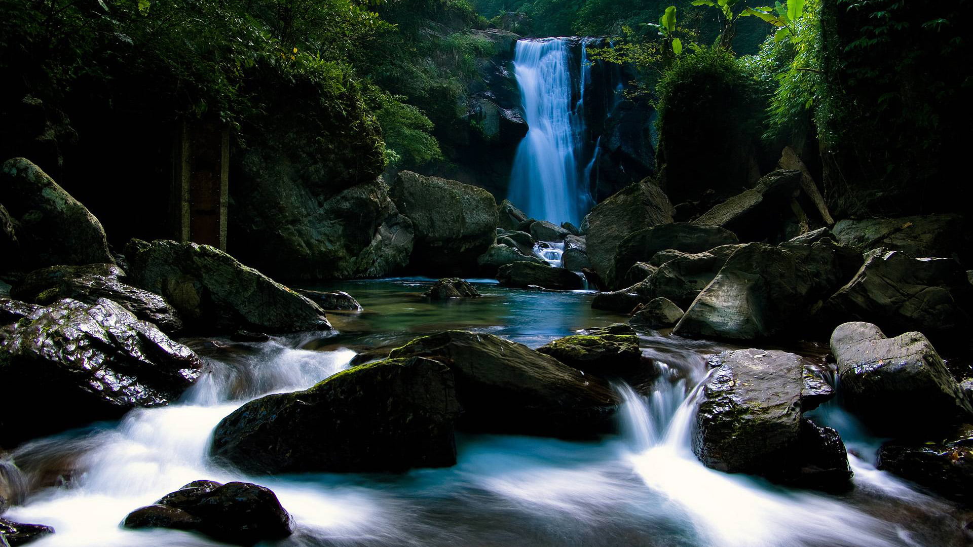lake, park, rocks, flowing, beauty in nature, purity, splash, waterfall, rock formation, outdoors, nature, aquarium, wild, falling water, trees, environment, HD Wallpaper