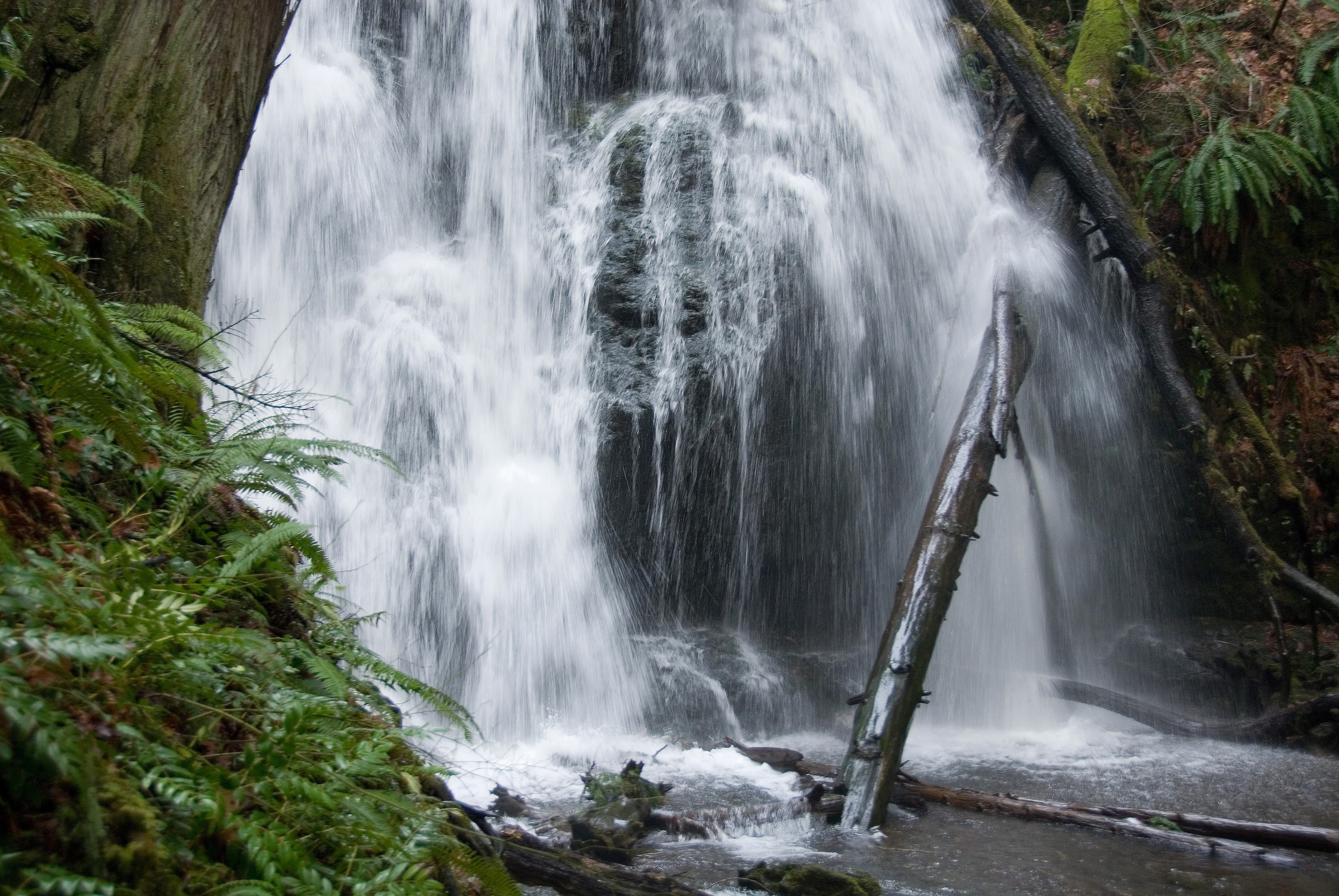 fresh, forest, rainforest, photography, relax, environment, blurred motion, waterscape, no people, scenic, scene, flowing, Flow, current, creek, cascade, HD Wallpaper