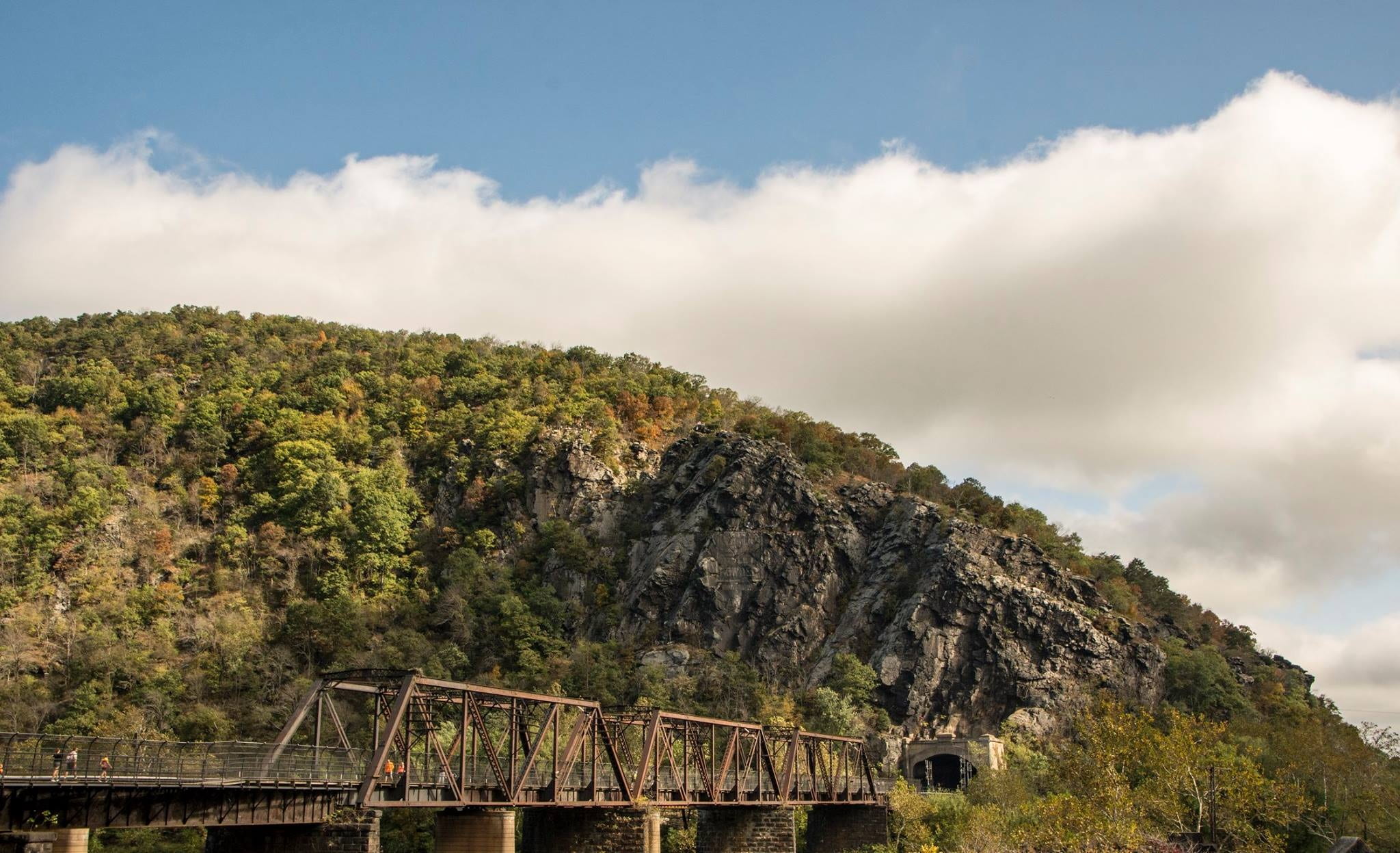 beauty in nature, scenery, bridge, harpers ferry, architecture, railroad, green color, day, tranquil scene, landscape, water, low angle view, growth, plant, HD Wallpaper