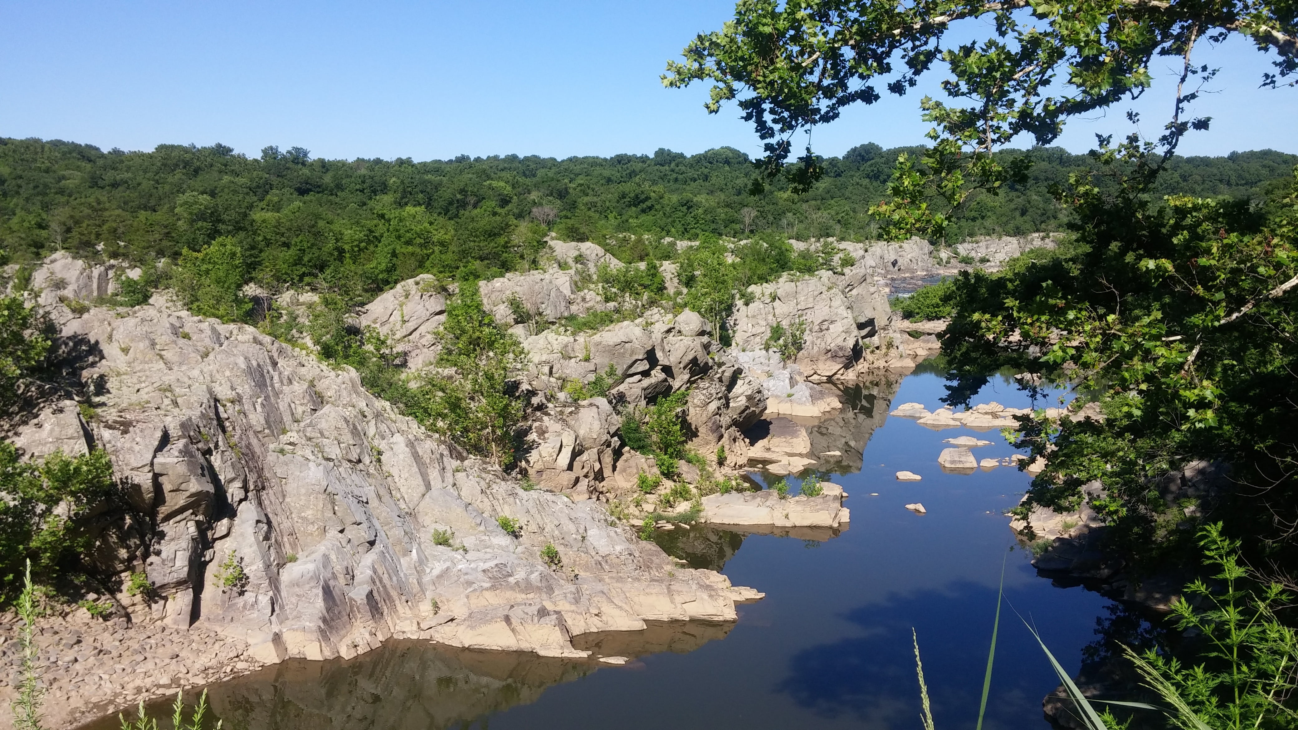 clear sky, environment, sky, reflection, 4K, rock, potomac, nature, waterfall, scenery, landscape, no people, outdoors, tree, water, plant, day, great falls, HD Wallpaper