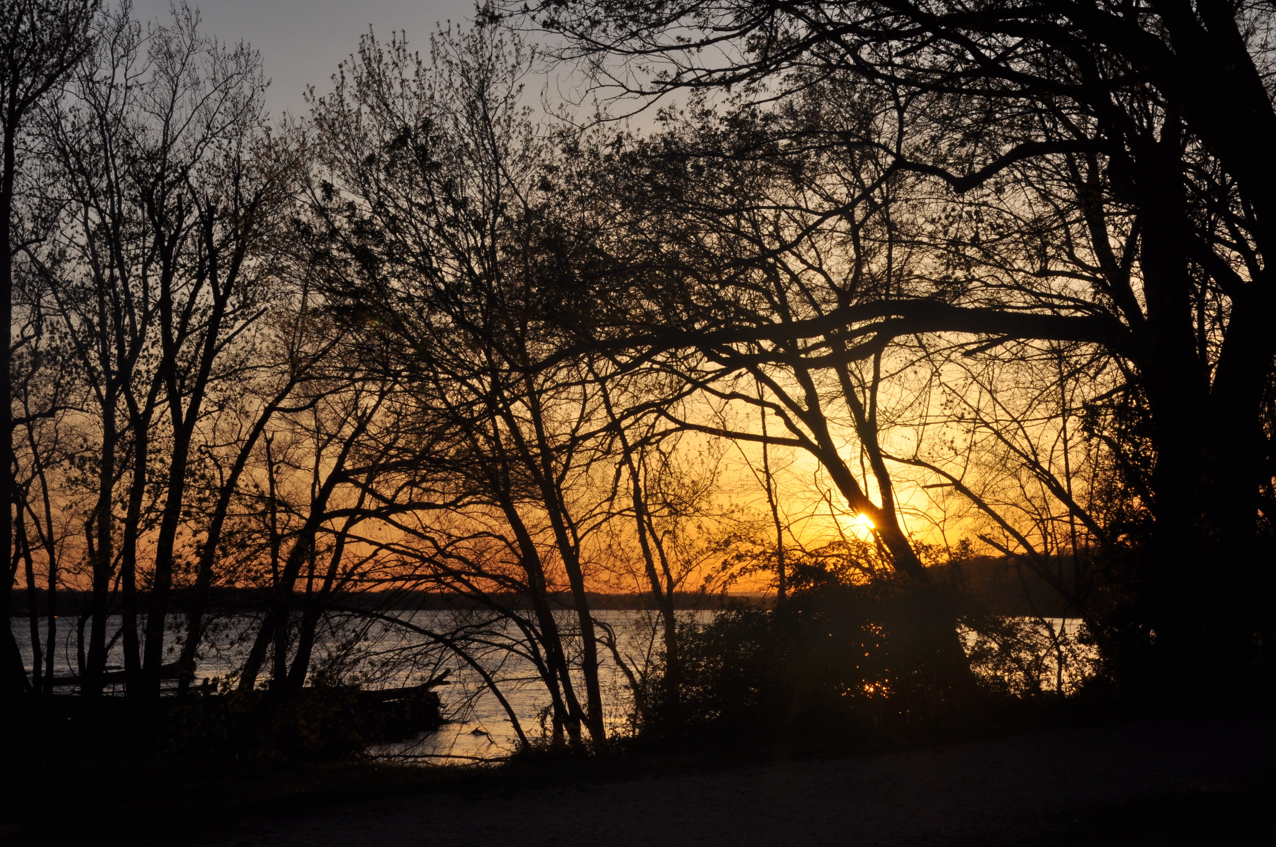 lake, outdoor, tranquil scene, sunset, scenics - nature, reflection, scenic, land, beauty in nature, no people, non-urban scene, 4K, bare tree, outdoors, HD Wallpaper