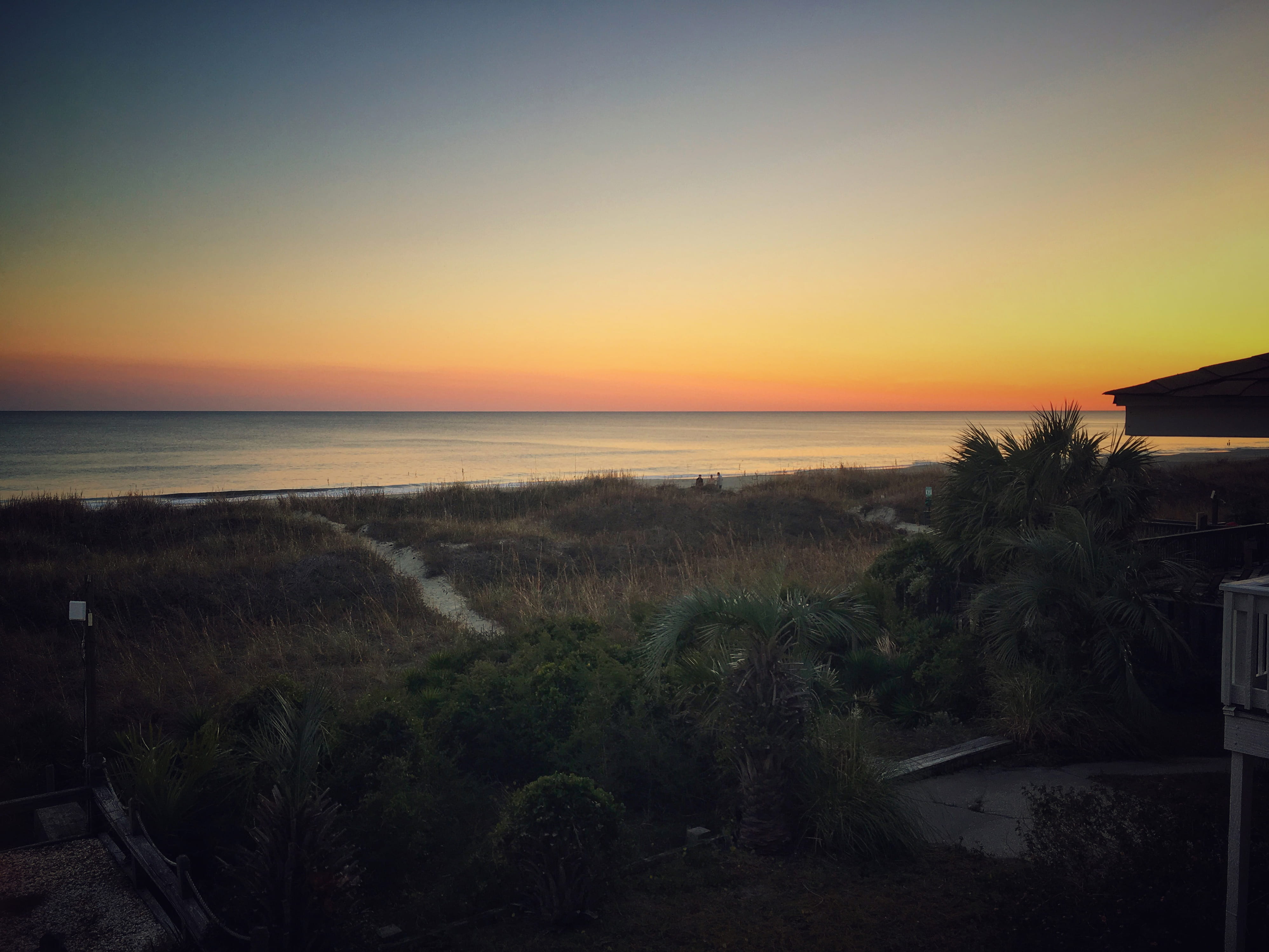 land, sand, clear sky, scenics - nature, tranquility, no people, dunes, water, united states, tree, tranquil scene, horizon over water, horizon, south carolina, HD Wallpaper