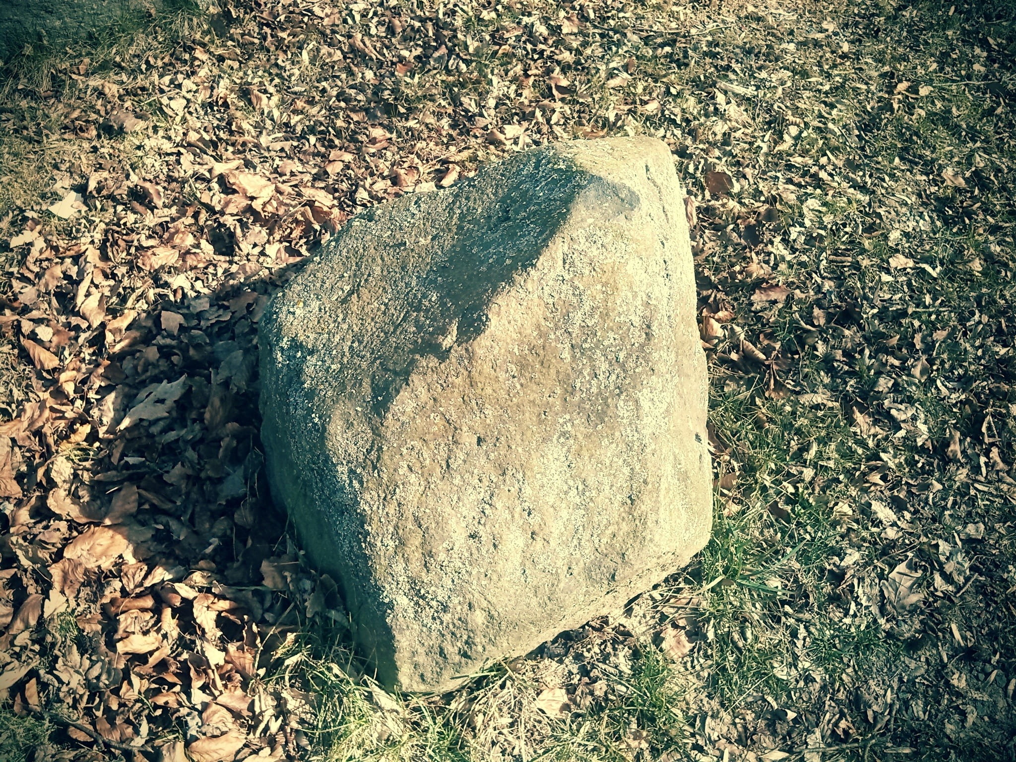 sunny, rock - object, steinig, 1080P, no people, high angle view, close-up, stone, land, solid, away, rock, nature, tranquility, outdoors, plant, tree, HD Wallpaper