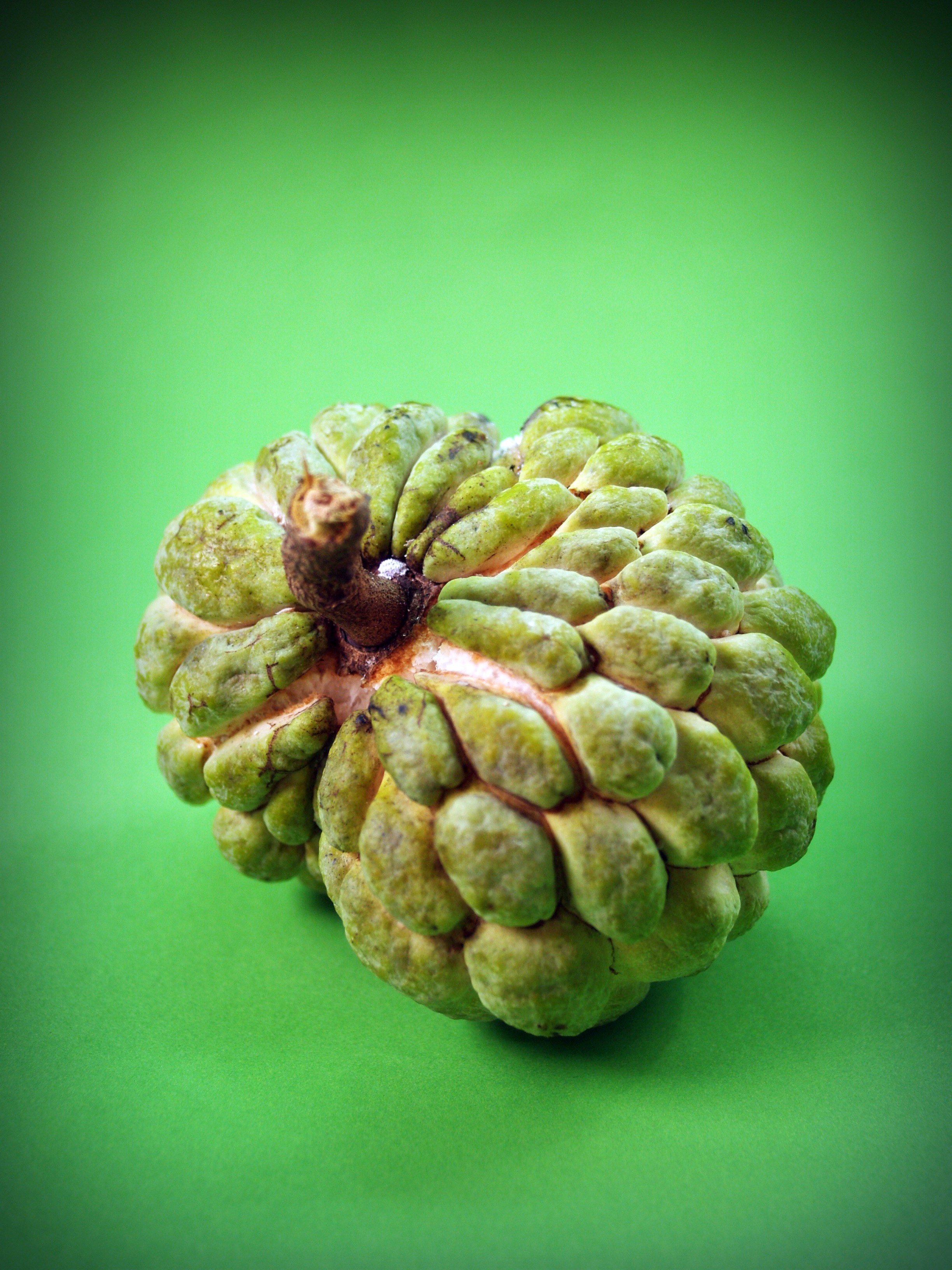 high angle view, food and drink, green color, custard apple, 2K, growing, close-up, tempting, juicy, ripe, round, plump, tree, strange, leaves, still life, Phone HD Wallpaper