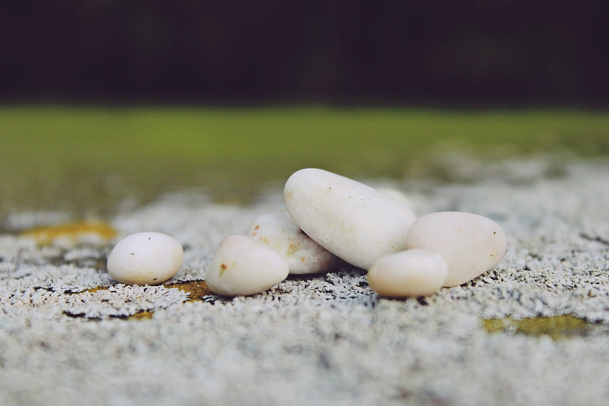 backgrounds, freshness, Garden, white, plump, 1080P, outdoors, selective focus, macro, deco, surface level, decoration, group of objects, background, beach, HD Wallpaper