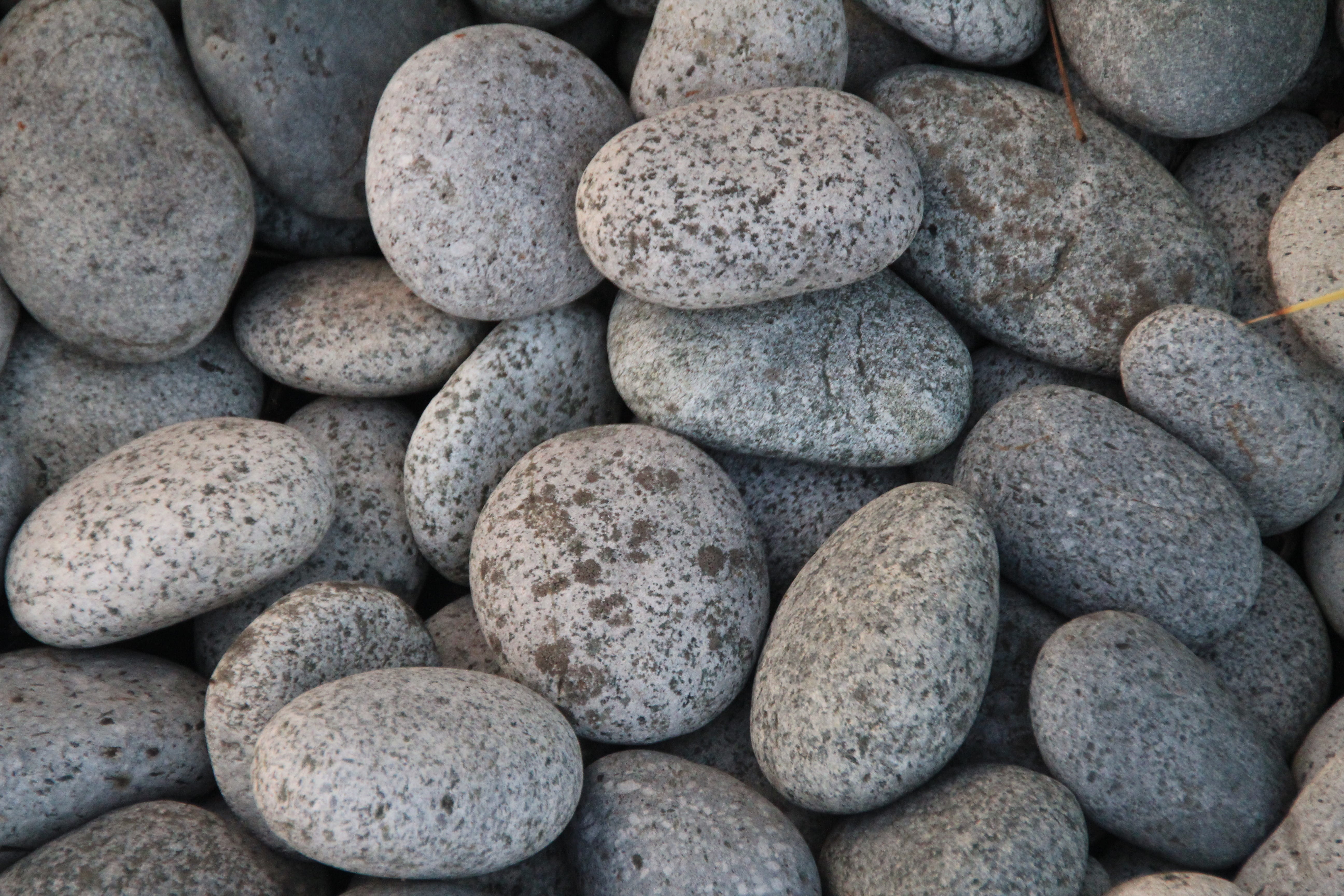 abundance, rock - object, gravel, steinig, plump, photo, pebbles, day, stone - object, solid, 5K, gray, beach, stone, outdoors, cover, garden, full frame, HD Wallpaper