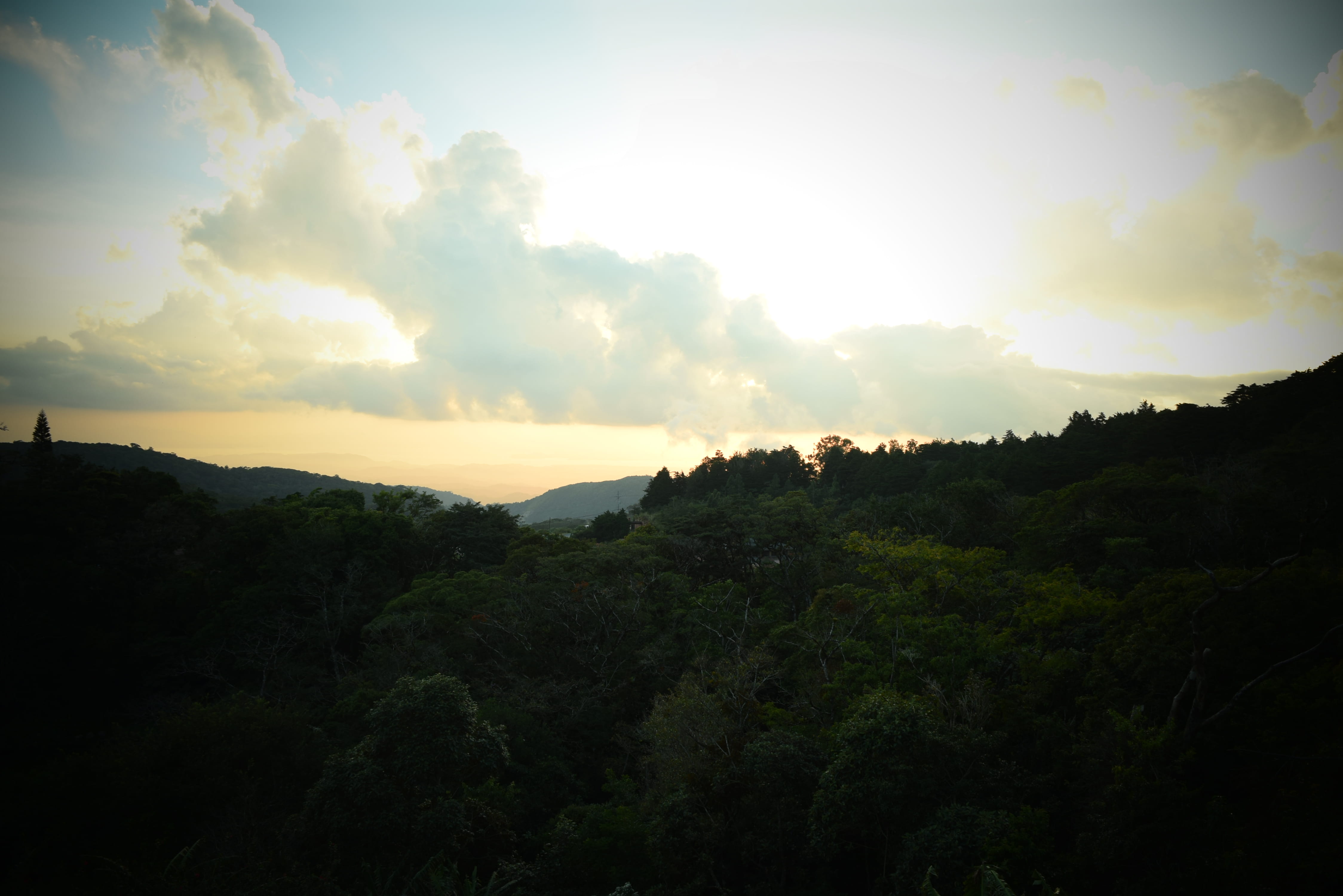 beauty in nature, hotel belmar, sunset, monteverde, forest, growth, non-urban scene, land, plant, cloud forest, nature, 4K, tranquility, environment, idyllic, HD Wallpaper