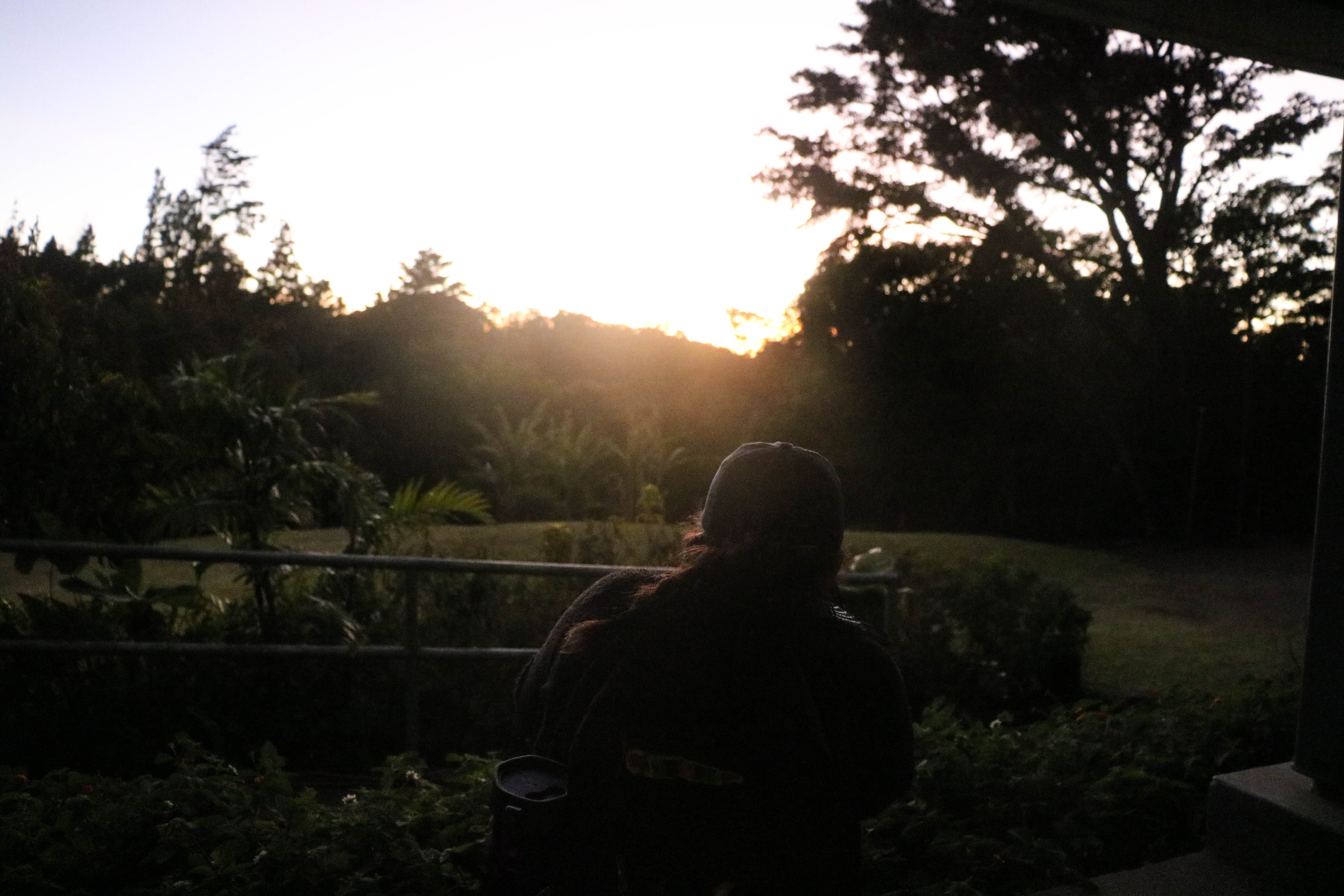 sunset, sunlight, costa rica, adult, beauty in nature, 5K, plant, rear view, silhouette, women, sky, lens flare, tranquility, tree, lifestyles, girl, explore, HD Wallpaper