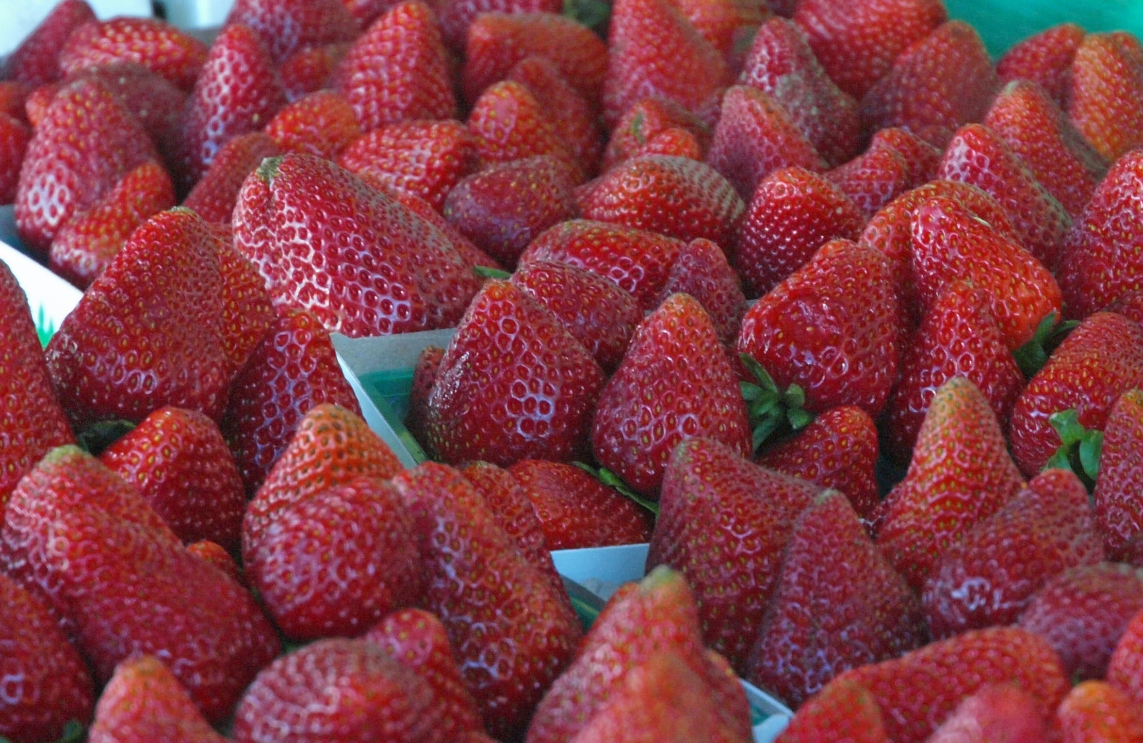freshness, strawberry, sweet, bay area, chopped, diet, wellbeing, abundance, ocean, gabriel raggio, raggio studios, still life, berry, ripe, bay, tasty, HD Wallpaper