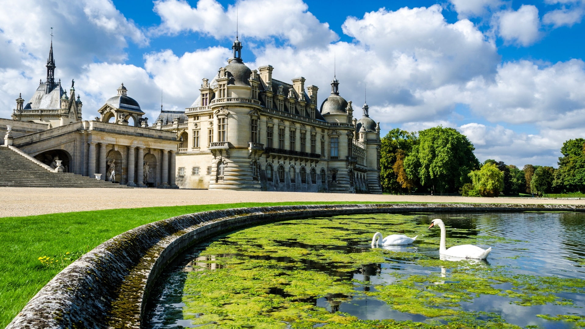 Clouds, 1080P, Castle, Pond, Trees, Swan, Palace, HD Wallpaper