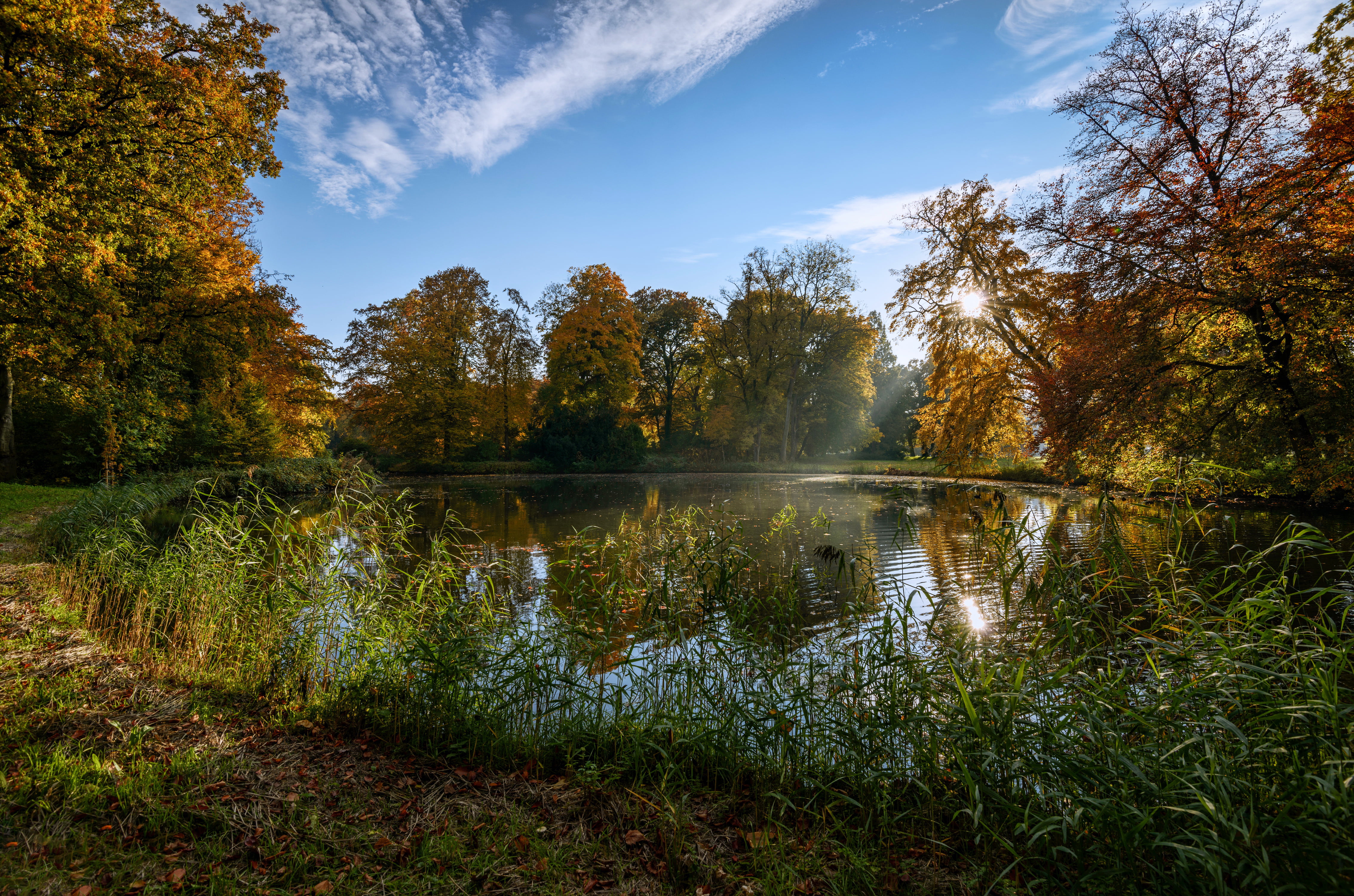 season, scenics, day, pond, woodland, netherlands, color Image, forest, tree, growth, idyllic, leaf, lake, plant, green Color, orange Color, trees, de haar castle park, HD Wallpaper