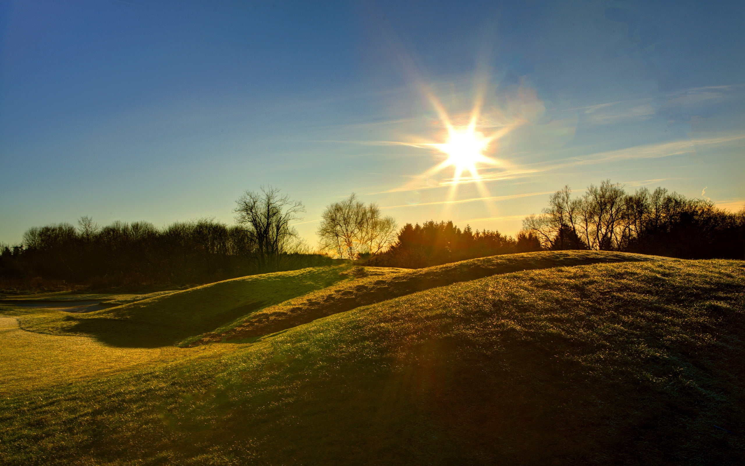 landscaped, lens flare, meadow, no People, sunlight, forest, springtime, rural Scene, dawn, green Color, 2K, midday, sport, scenics, hills, environment, HD Wallpaper