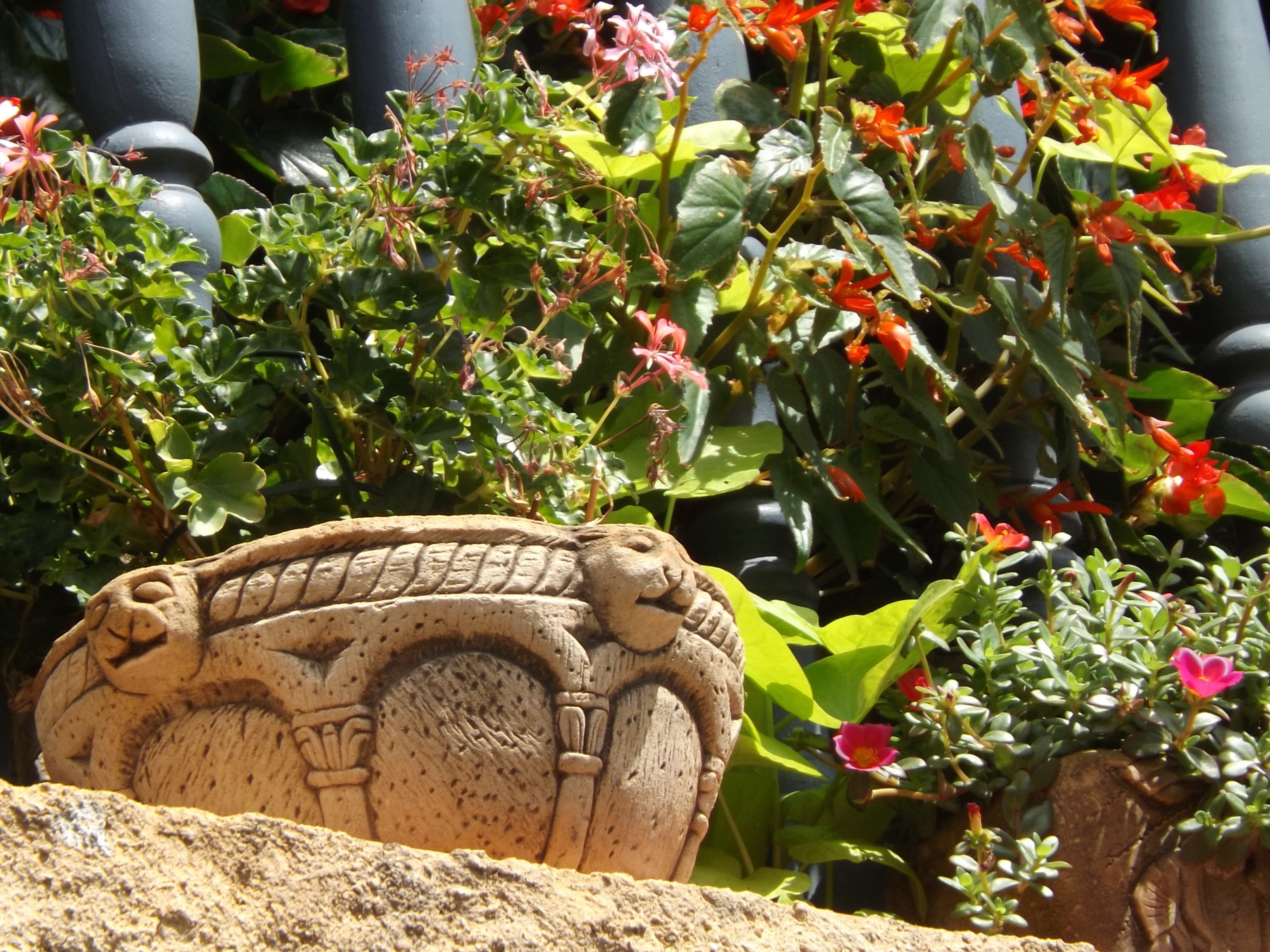 sculpture, plant part, architecture, representation, no people, nature, geranium, decoration, midday, green color, religion, growth, close-up, plant, stone, HD Wallpaper