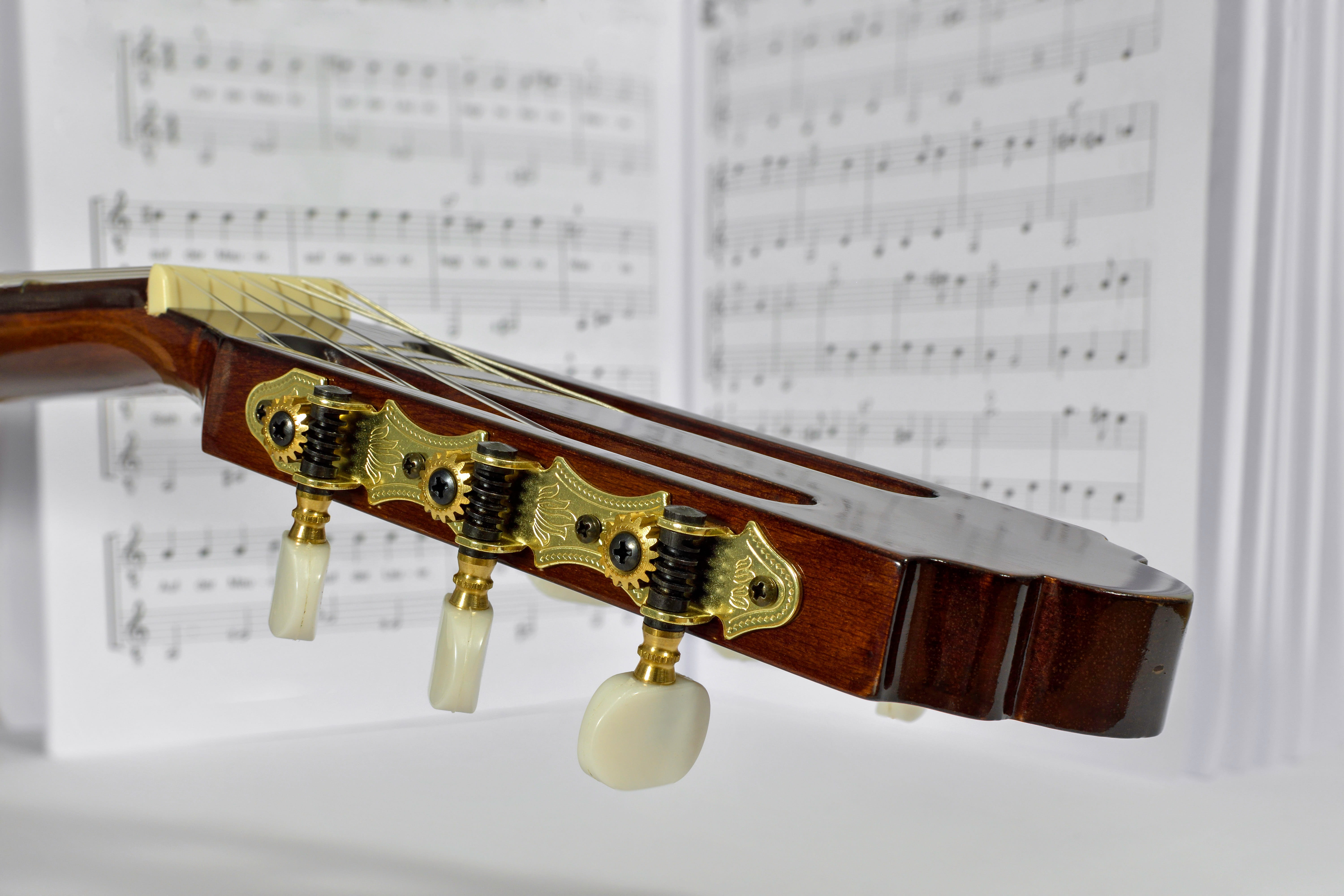 plucked string instrument, wood, violin, still life, focus stacking, perlmut, music, ornament, 5K, eddy, no people, play guitar, safety, sheet music, guitar, HD Wallpaper