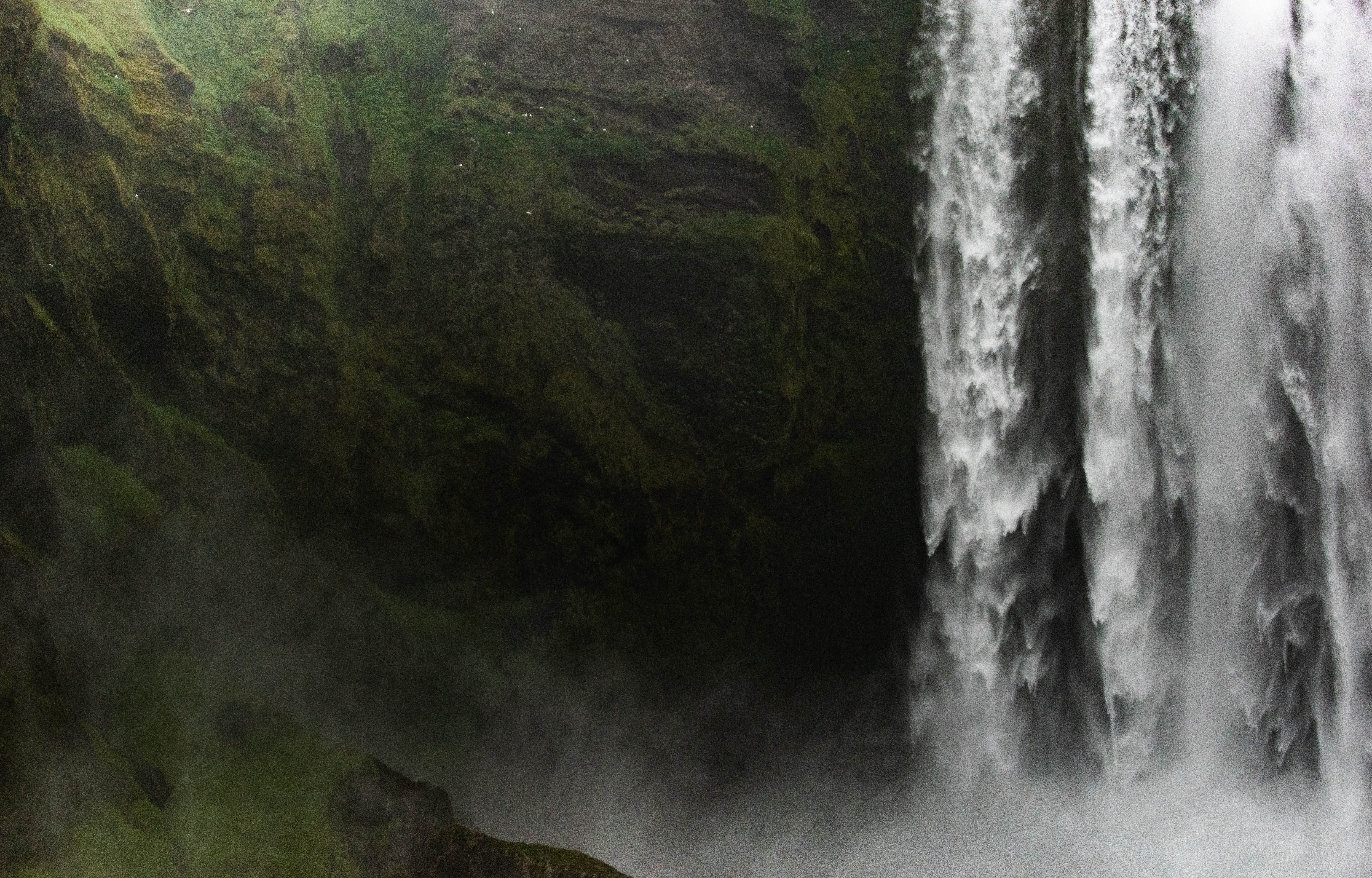 tree, stream, waterfall, water, falling, freshness, mist, rock - Object, river, wet, mountain, landscape, beauty In Nature, surreal, wanderlust, summer, HD Wallpaper