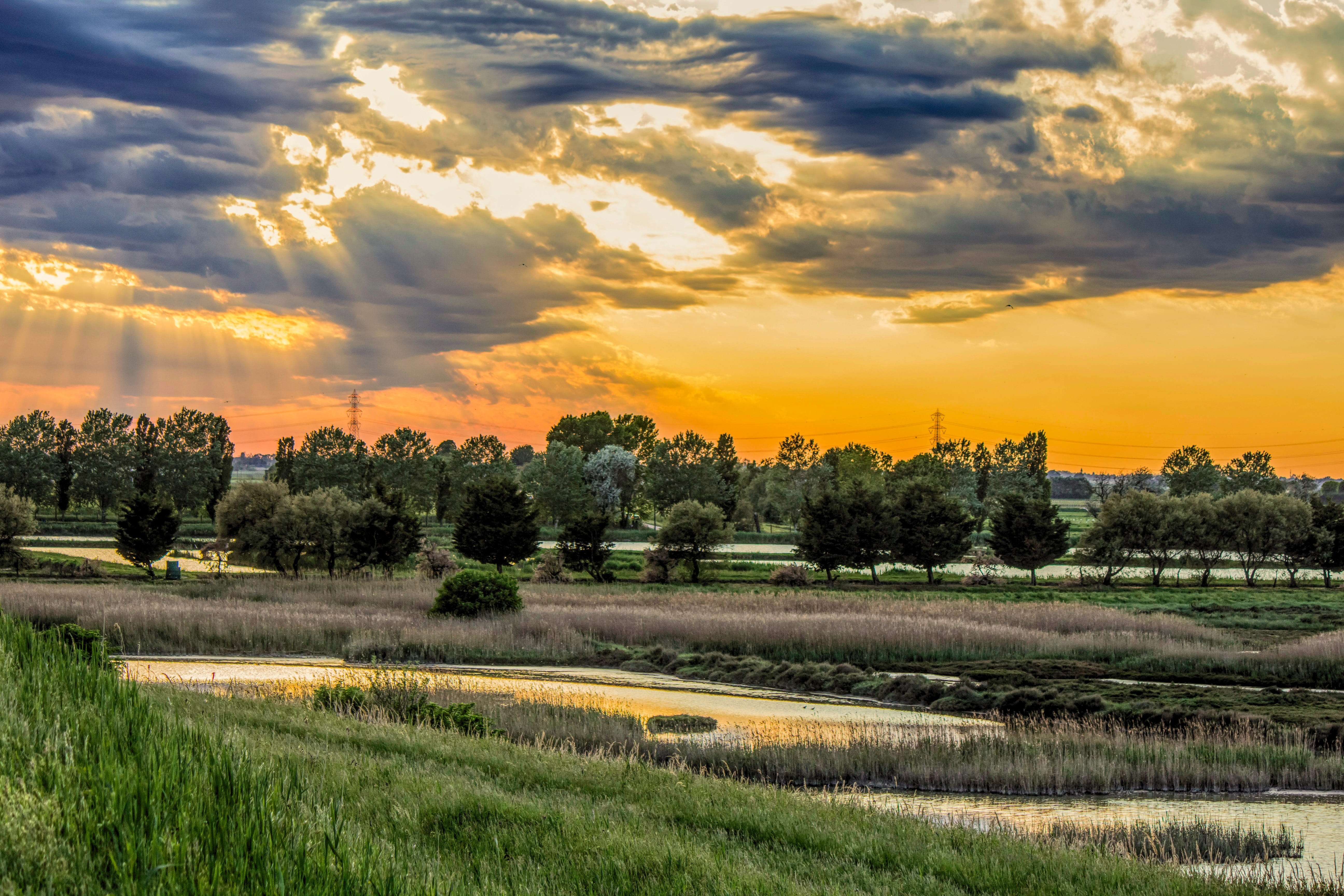 delta po, landscape, Po, orange color, scenics - nature, Comacchio, river, growth, laguna, environment, outdoors, land, sunset, italy, tranquil scene, plant, HD Wallpaper