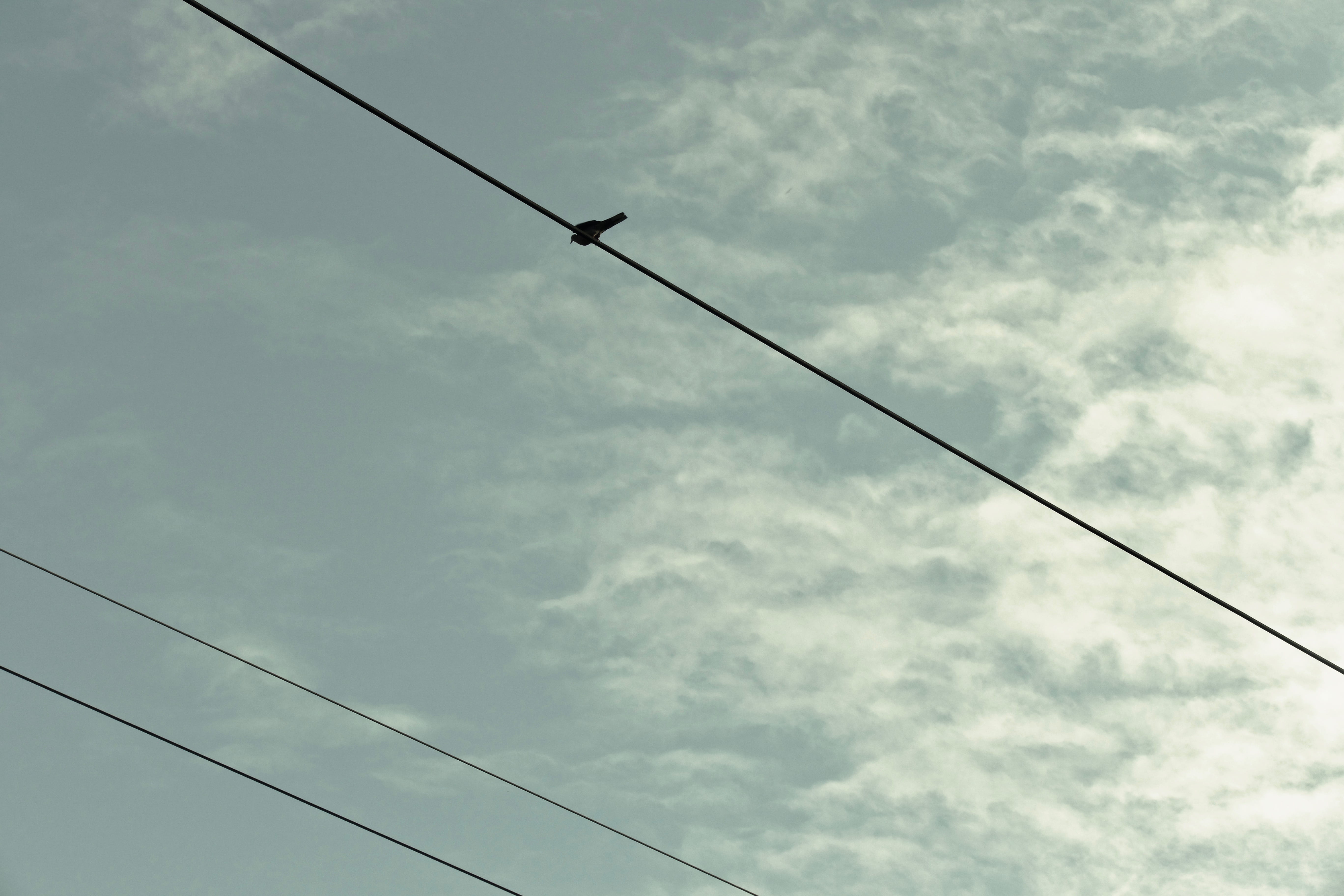 power, helicopter, 5K, vehicle, bird, aircraft, cable, cloud - sky, barbed wire, crow, utility pole, low angle view, power supply, fuel and power generation, HD Wallpaper
