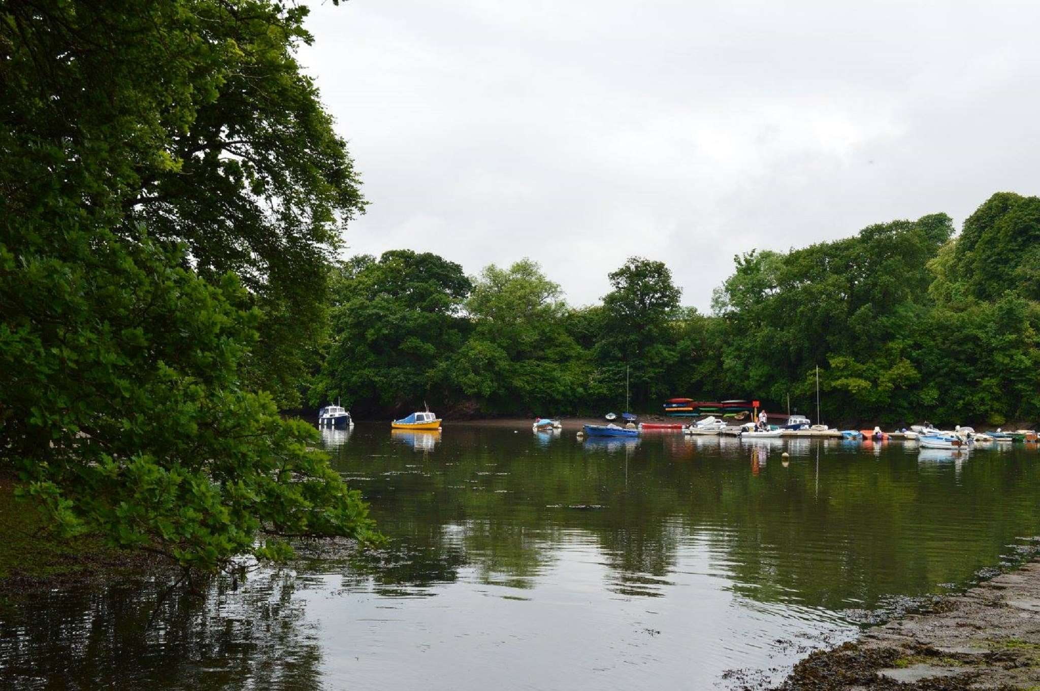 dartmouth, water, stoke gabriel, mode of transportation, 1080P, transportation, tranquility, boats, outdoors, lake, day, tree, calm, plant, no people, HD Wallpaper
