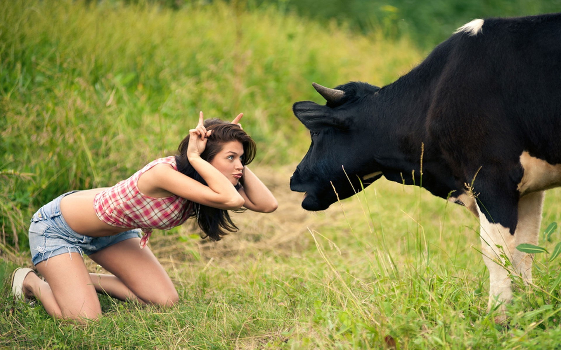 full length, adult, emotion, women jean shorts anime alexey guskov yana anchugova cows fingers plaid, domestic animals, nature, animal wildlife, one person, HD Wallpaper