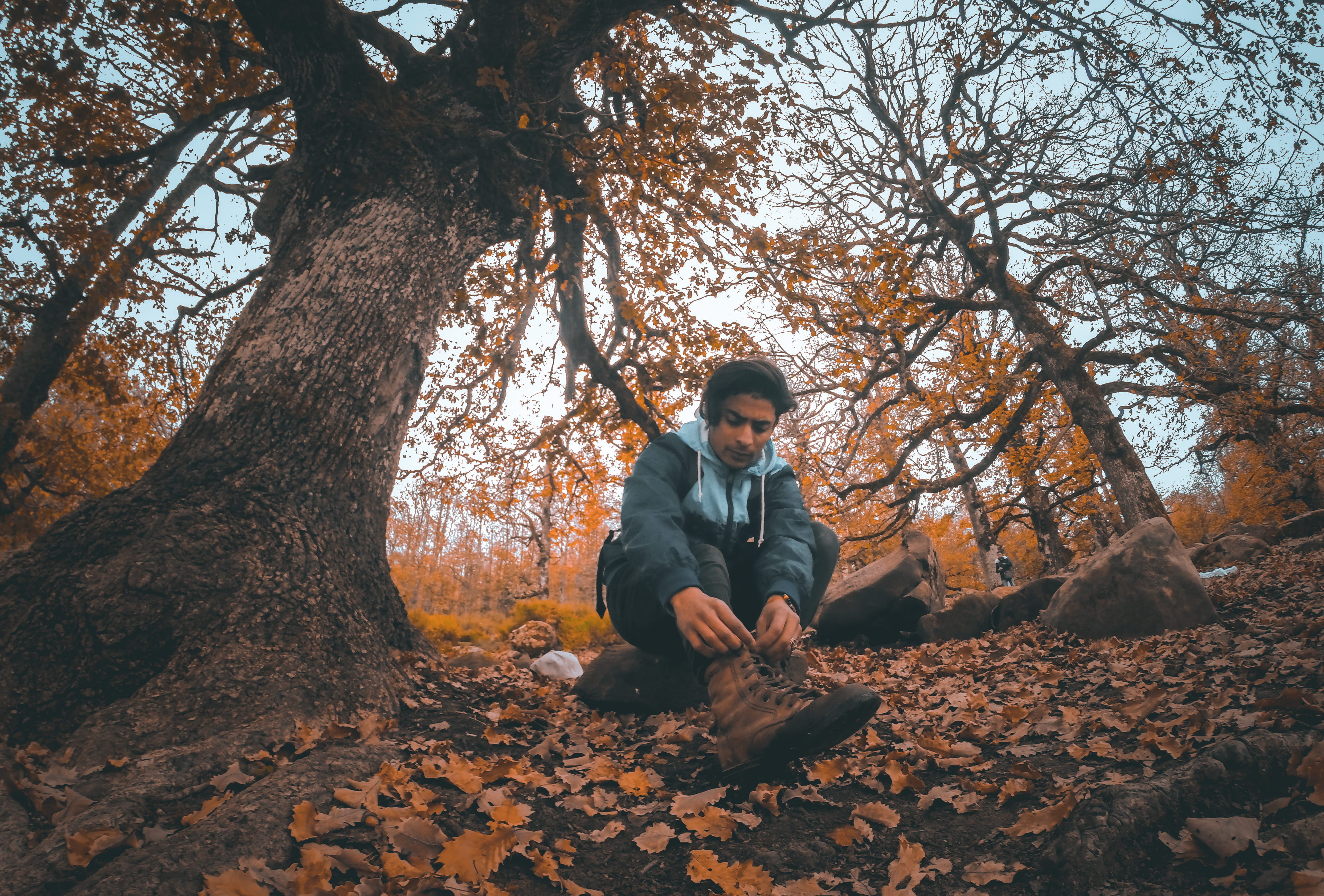tree, advanture, leisure activity, 4K, autumn, adventure, outdoors, warm clothing, land, shoe, vegetation, change, apparel, forest, front view, fashion, HD Wallpaper