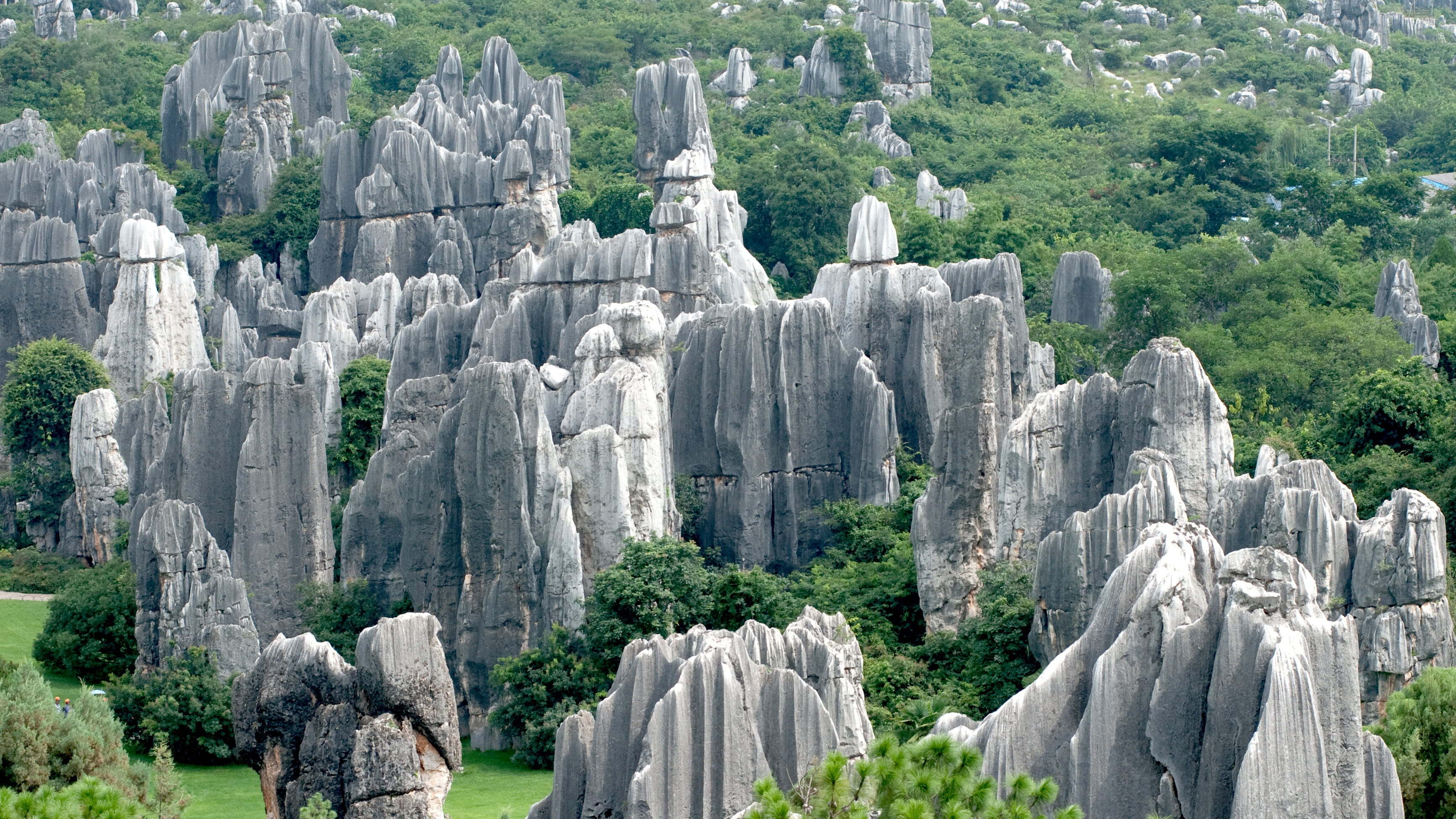 beauty in nature, solid, 2K, formations, kunming, nature, rock, tranquil scene, travel, tourism, tree, rock formation, tranquility, travel destinations, HD Wallpaper
