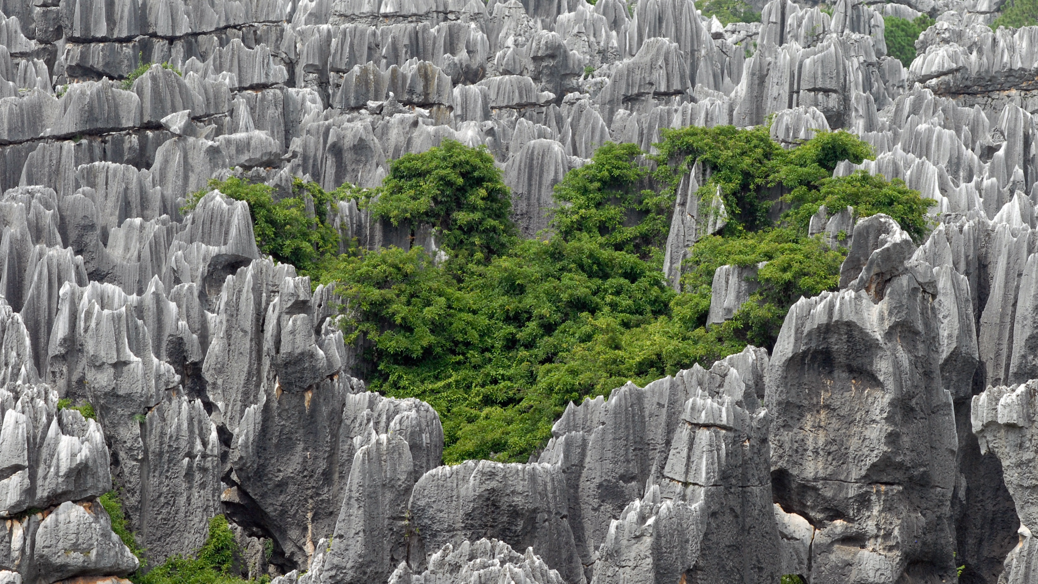 solid, land, aerial, stone forest, rock formation, cliff, green, green color, beauty in nature, travel, architecture, china, plant, travel destinations, HD Wallpaper