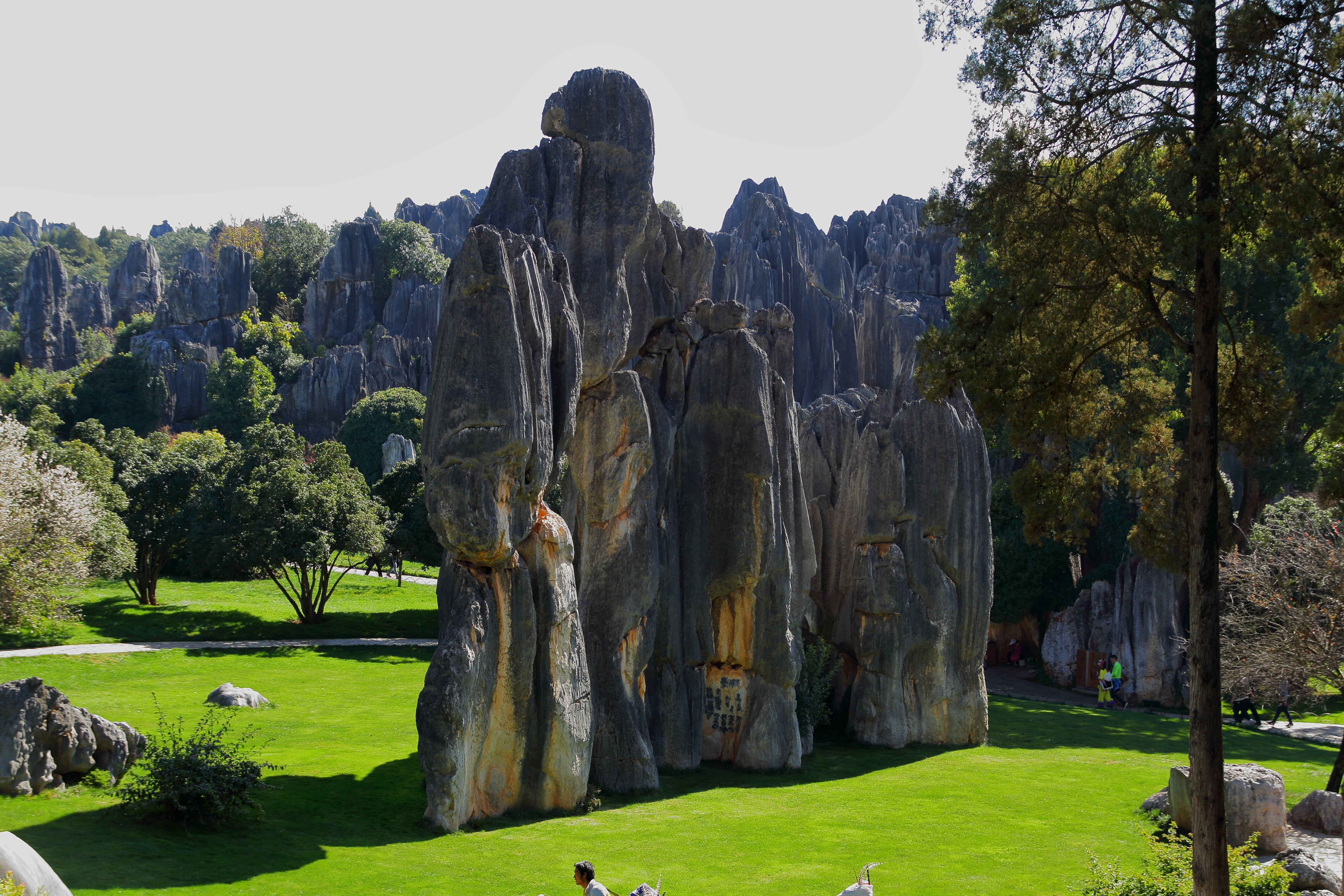 plant, tranquility, scenics - nature, kunming, rock, landscape, surrounded, adults only, figure, stones, stone forest, tree, tranquil scene, nature, solid, HD Wallpaper