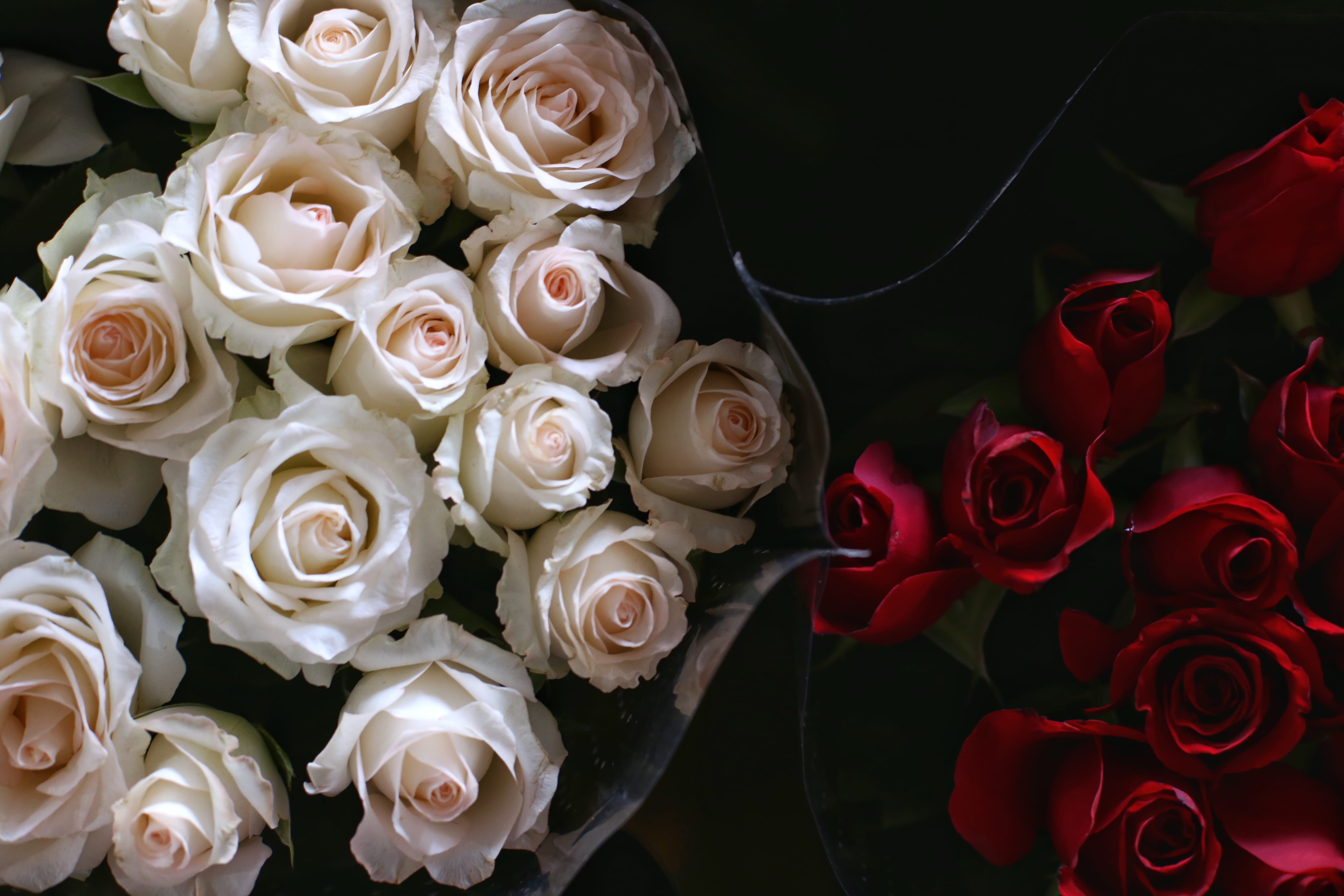red, graphics, market, inflorescence, black background, pattern, bunch of flowers, springtime, rose - flower, jar, 5K, flower, flower head, flower arrangement, HD Wallpaper