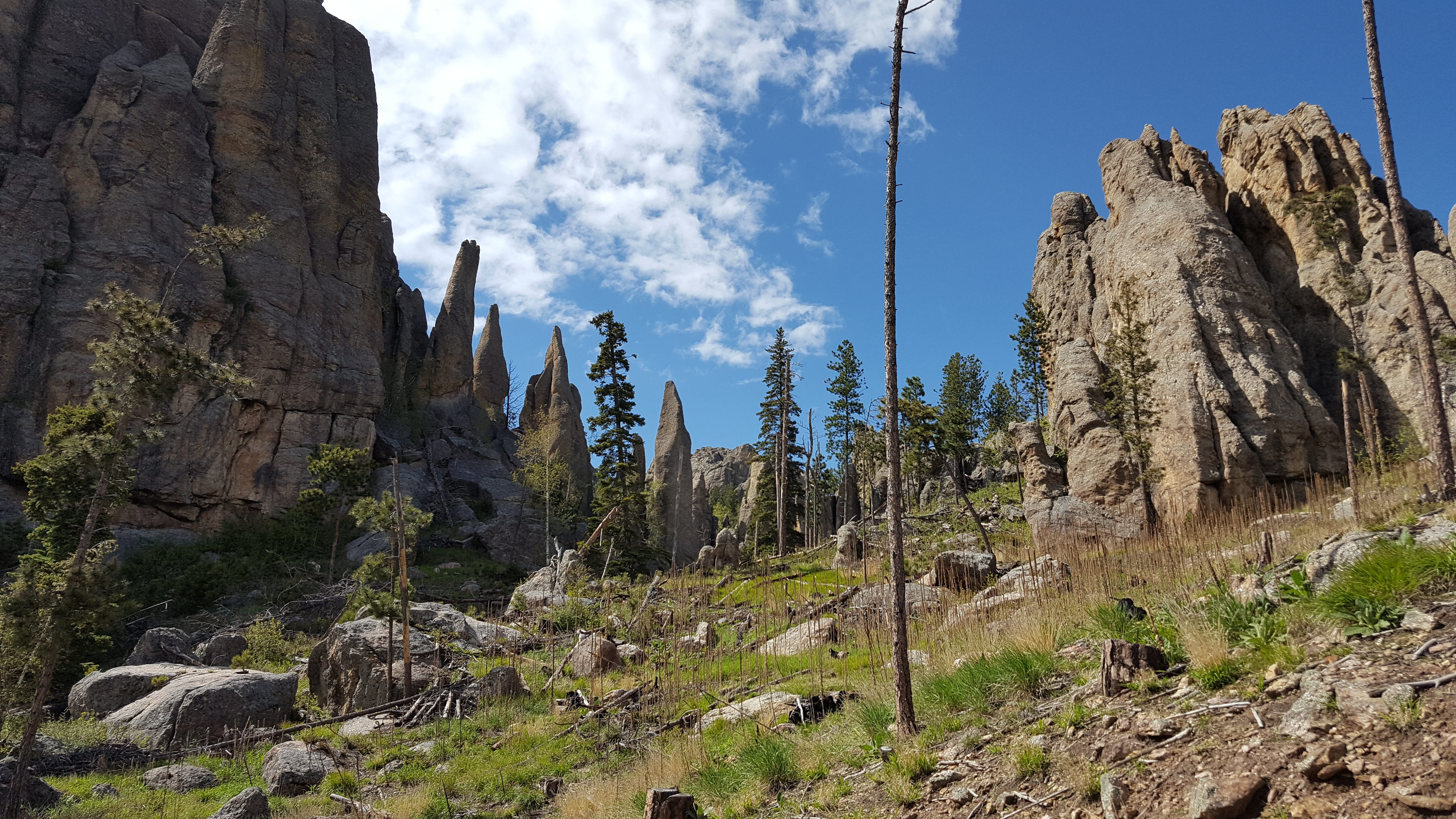 dakota, plant, Rocks, tranquility, arid climate, geology, mountain, sky, eroded, solid, Custer State Park, day, low angle view, cloud - sky, rock formation, HD Wallpaper