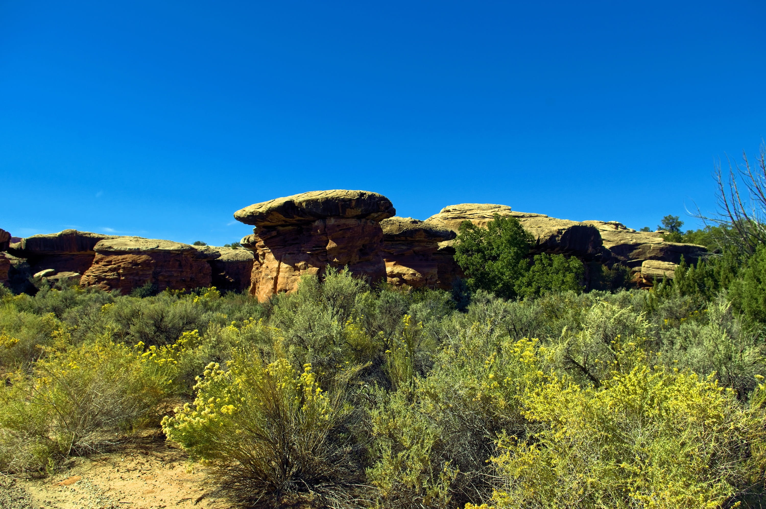 geology, formation, climate, semi-arid, sky, scenic, sandstone, plant, travel, red, blue, nature, sunlight, 2K, outdoors, day, solid, desert, rock formation, HD Wallpaper