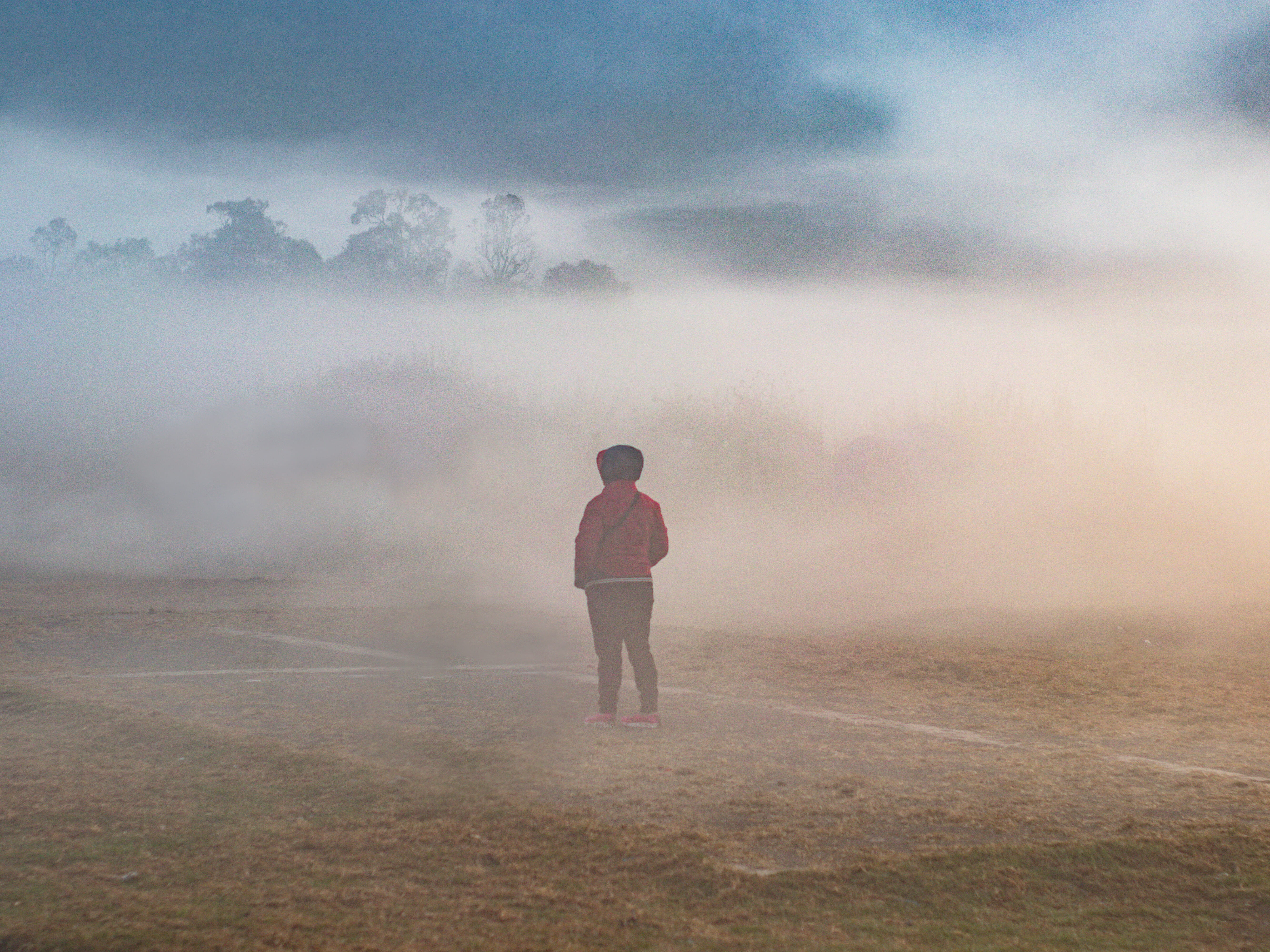 rear view, cloud - sky, tranquility, day, leisure activity, pentax, indonesia, ranca upas camping ground, lifestyles, land, 5K, nature, woman, environment, HD Wallpaper