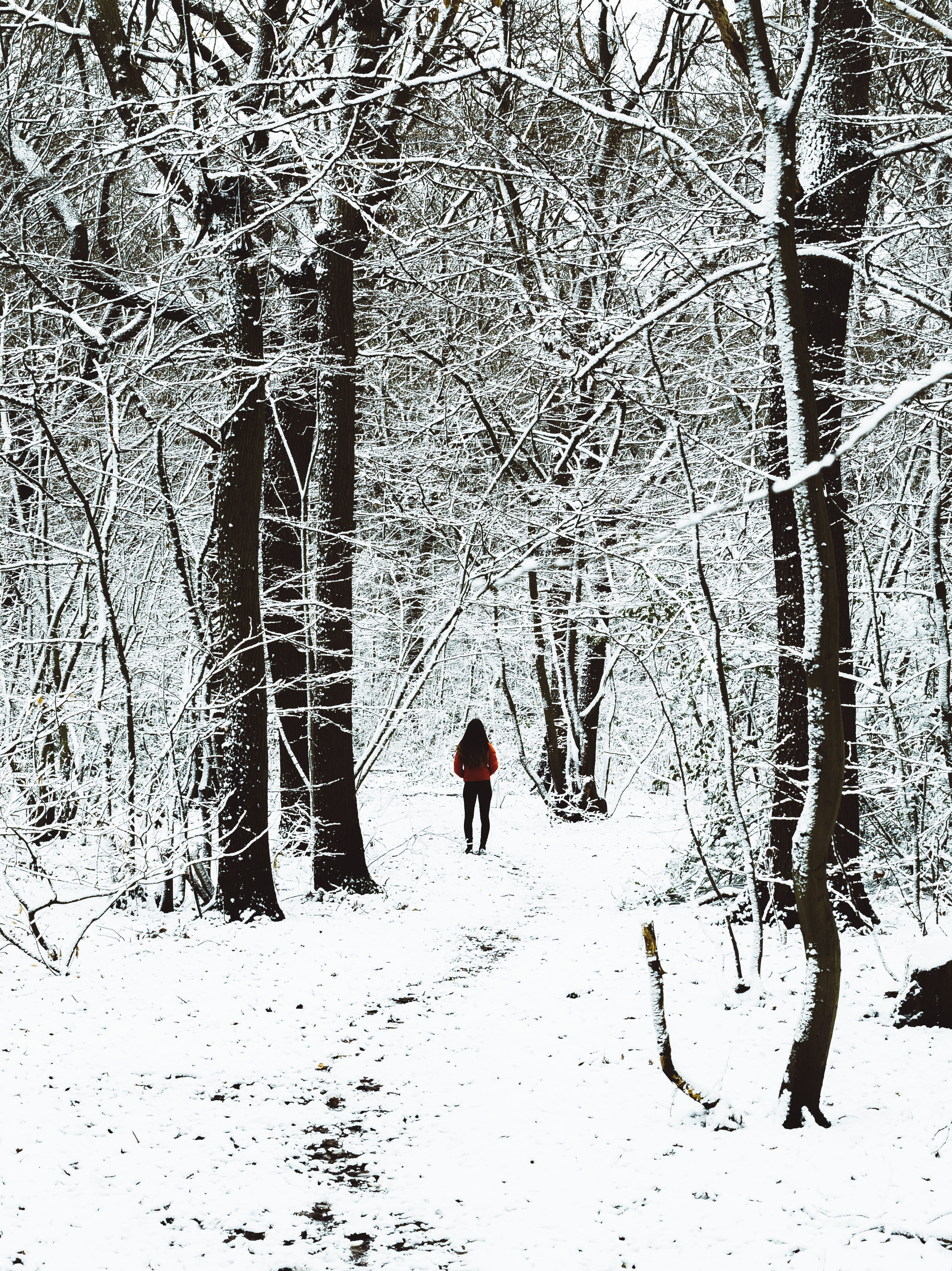 nature, outdoors, white color, tree, branch, photo, model, beauty in nature, snowice, one person, full length, warm clothing, midst, trees, cold temperature, Phone HD Wallpaper