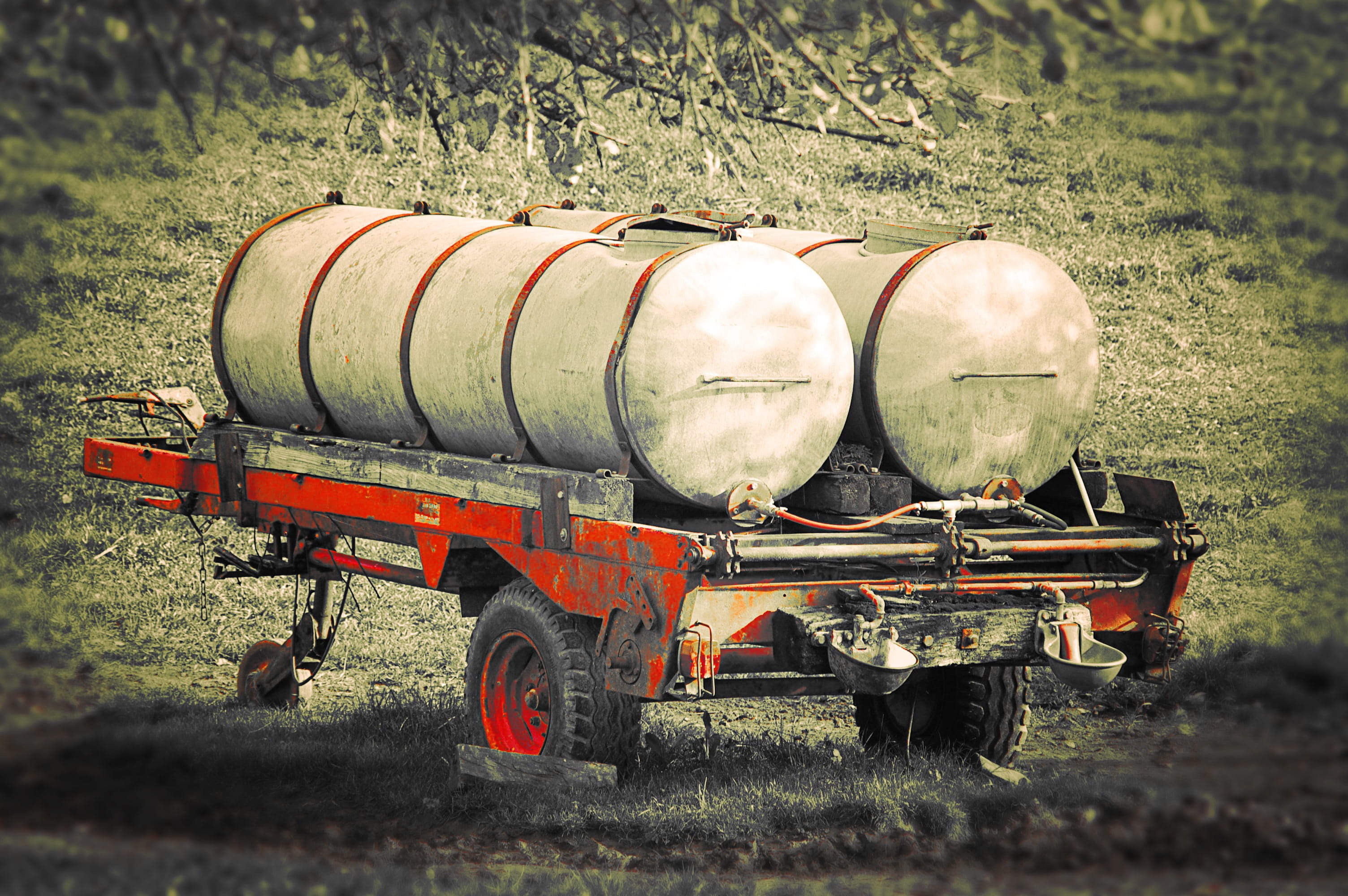 winemaking, food and drink, mode of transportation, rural scene, nature, landscape, 2K, land, outdoors, water tank, Cattle, day, trailers, Trough, field, HD Wallpaper