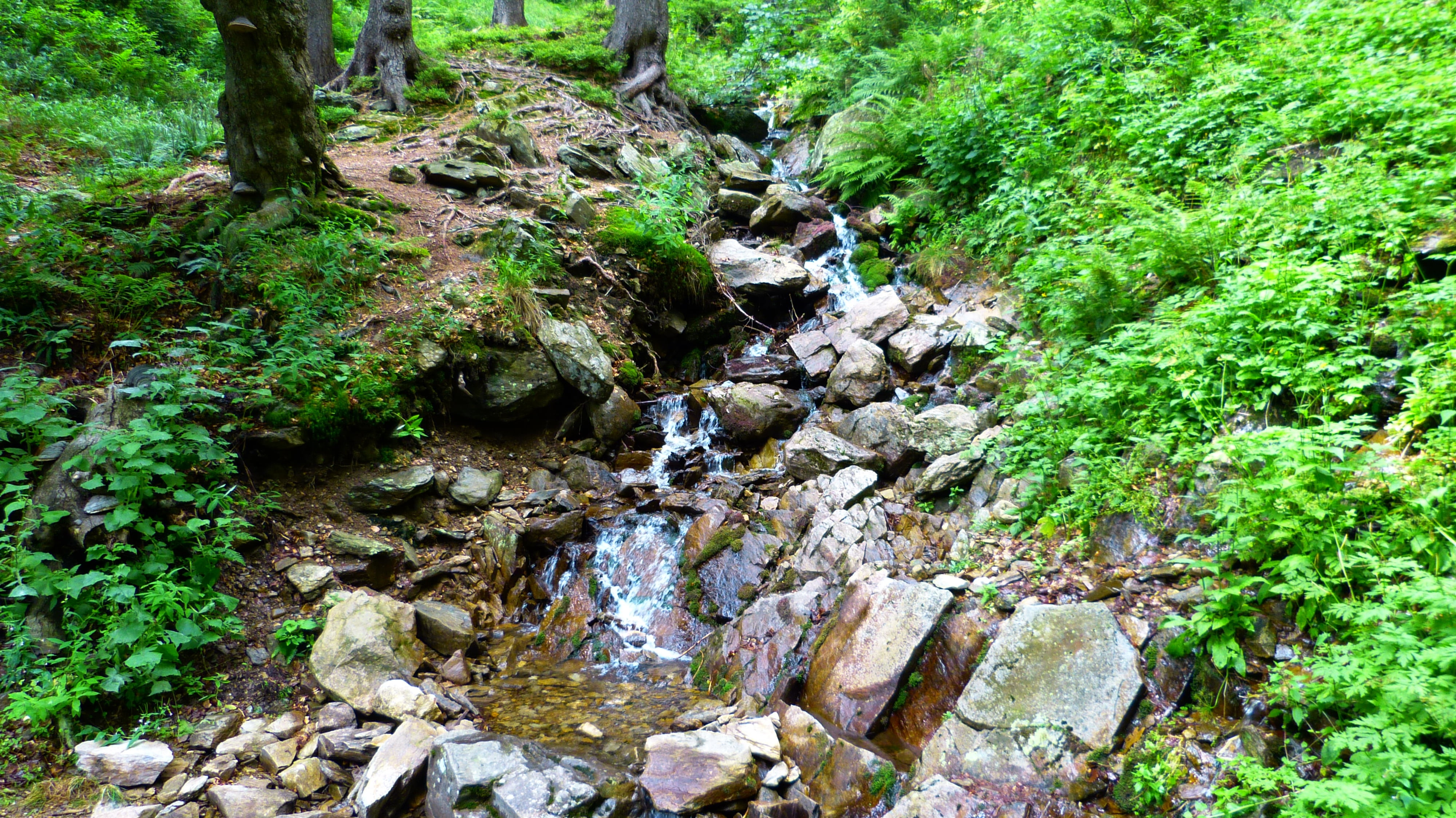 torrent, solid, trough, tranquility, bank, blurred motion, growth, day, beauty in nature, tree, water, stony, nature, no people, motion, flowing water, HD Wallpaper