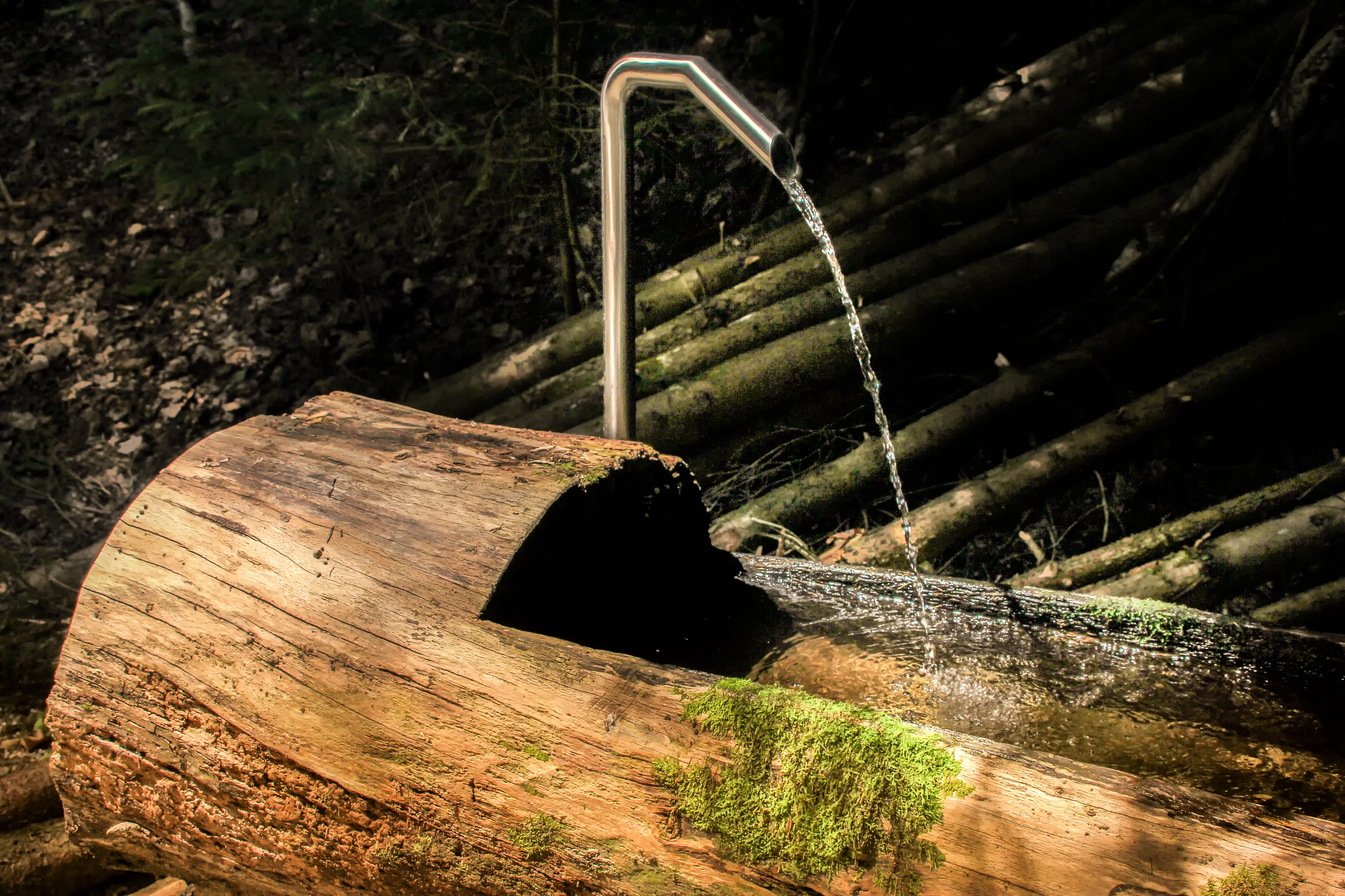 liquid, log, plant, water, wood - material, bark, purity, 5K, tree trunk, wood, flow, forest, livestock watering, fresh, stainless steel, water trough, HD Wallpaper