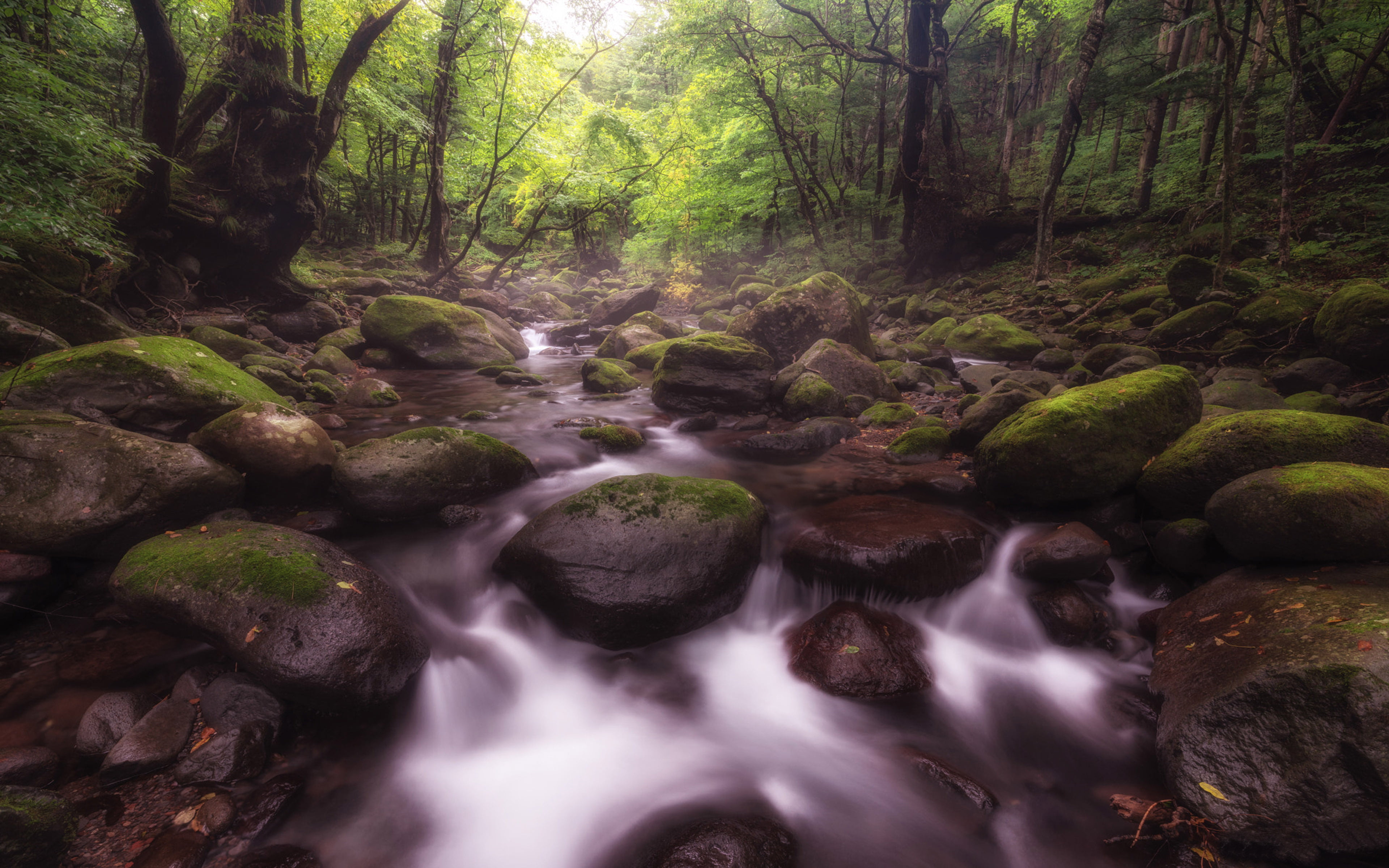 water, outdoors, moss, rock - object, long exposure, scenics - nature, rocky, stream, mountain, trees, desktop, flowing water, blurred motion, green, rock, HD Wallpaper