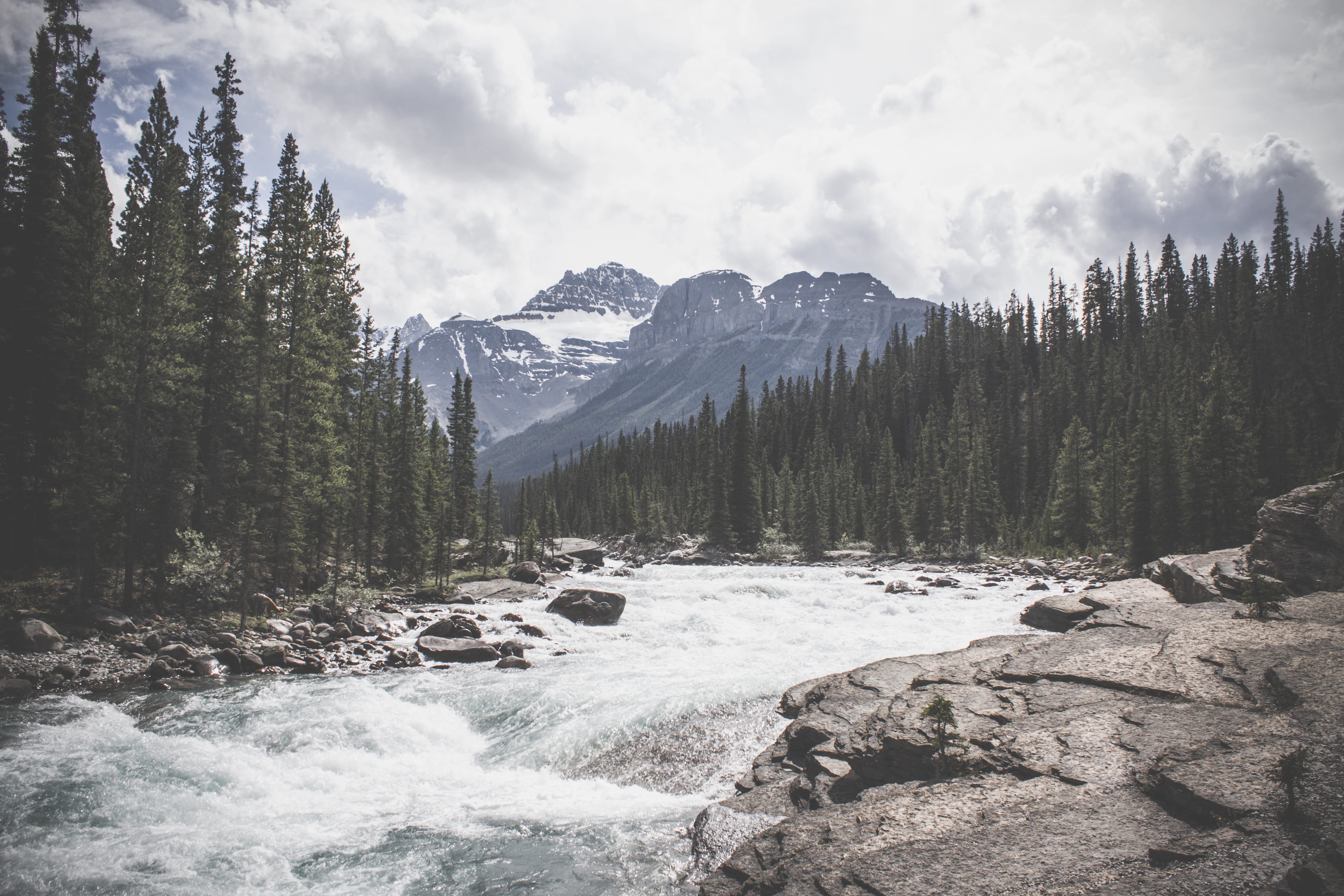passing, pine tree, stream, tree, rock, coniferous tree, beauty in nature, forest, rock - object, outdoors, water, tranquil scene, plant, 4K, no people, HD Wallpaper