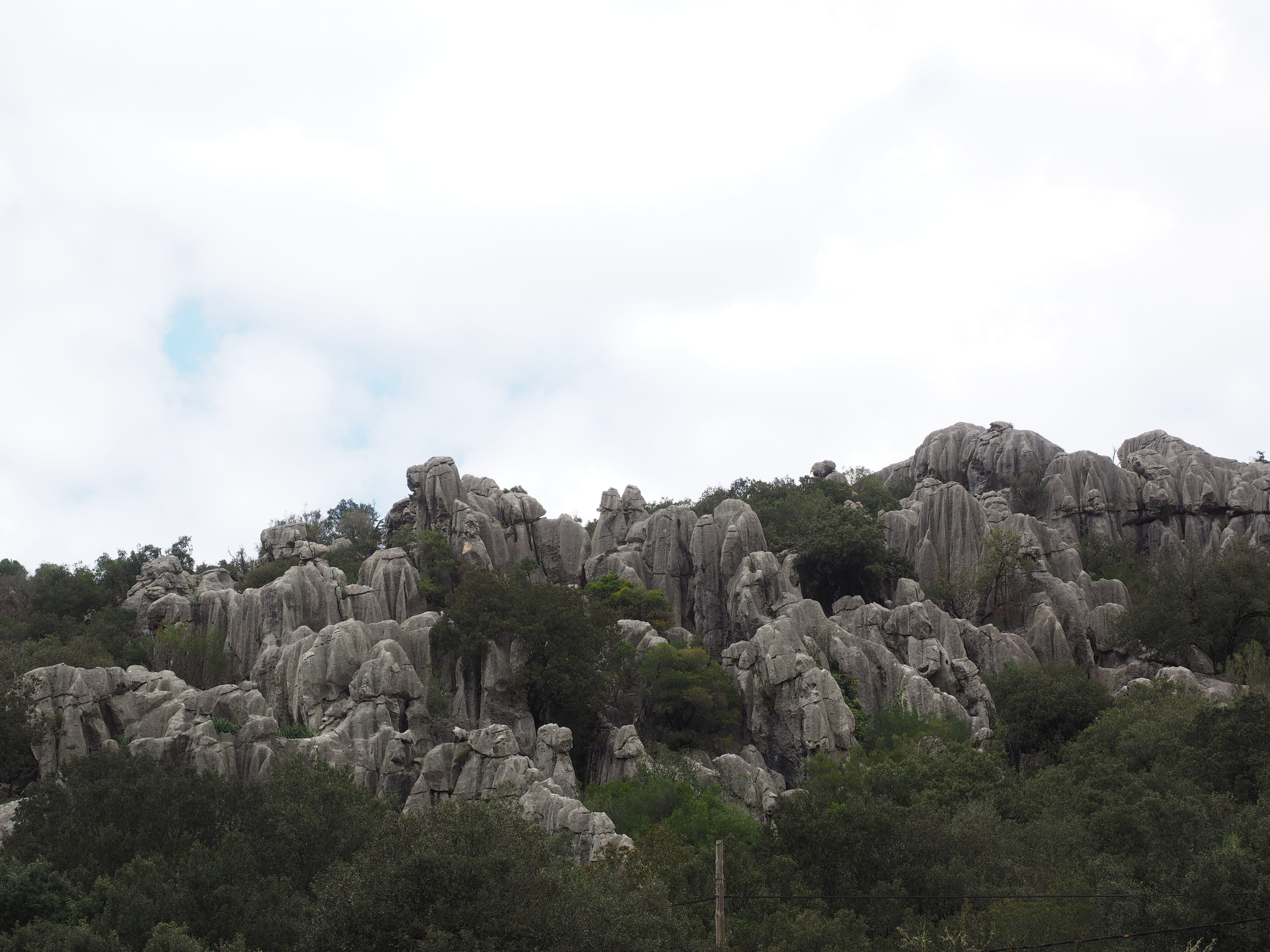nature, rock, plant, no people, tree, serra de tramuntana, landscape, tranquility, moleta de binifaldó, bold, cloud - sky, environment, outdoors, haunting, HD Wallpaper